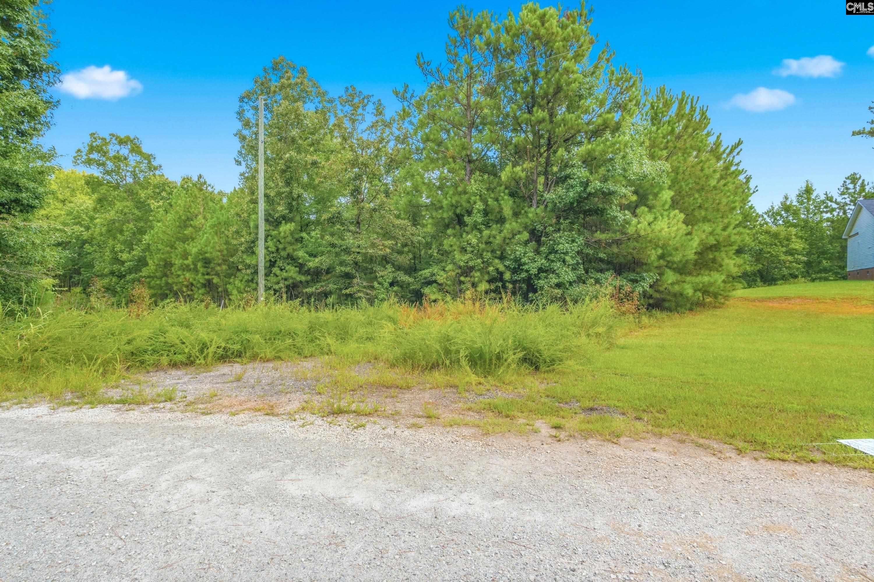 Lot #8 Longleaf Court Ridgeway, SC 29130 - Photo 15 of 29 Gallery Image 15