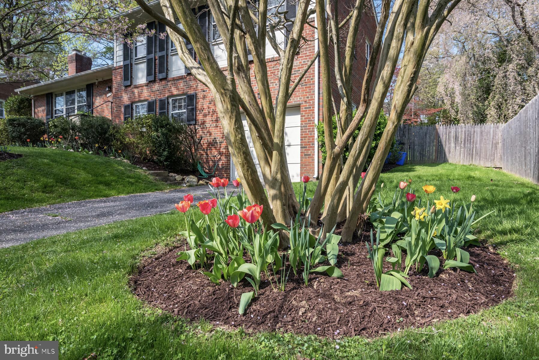 5512 Christy Drive Bethesda, MD 20816 - Photo 3 of 40 Also a two minute walk to Wood Acres Park