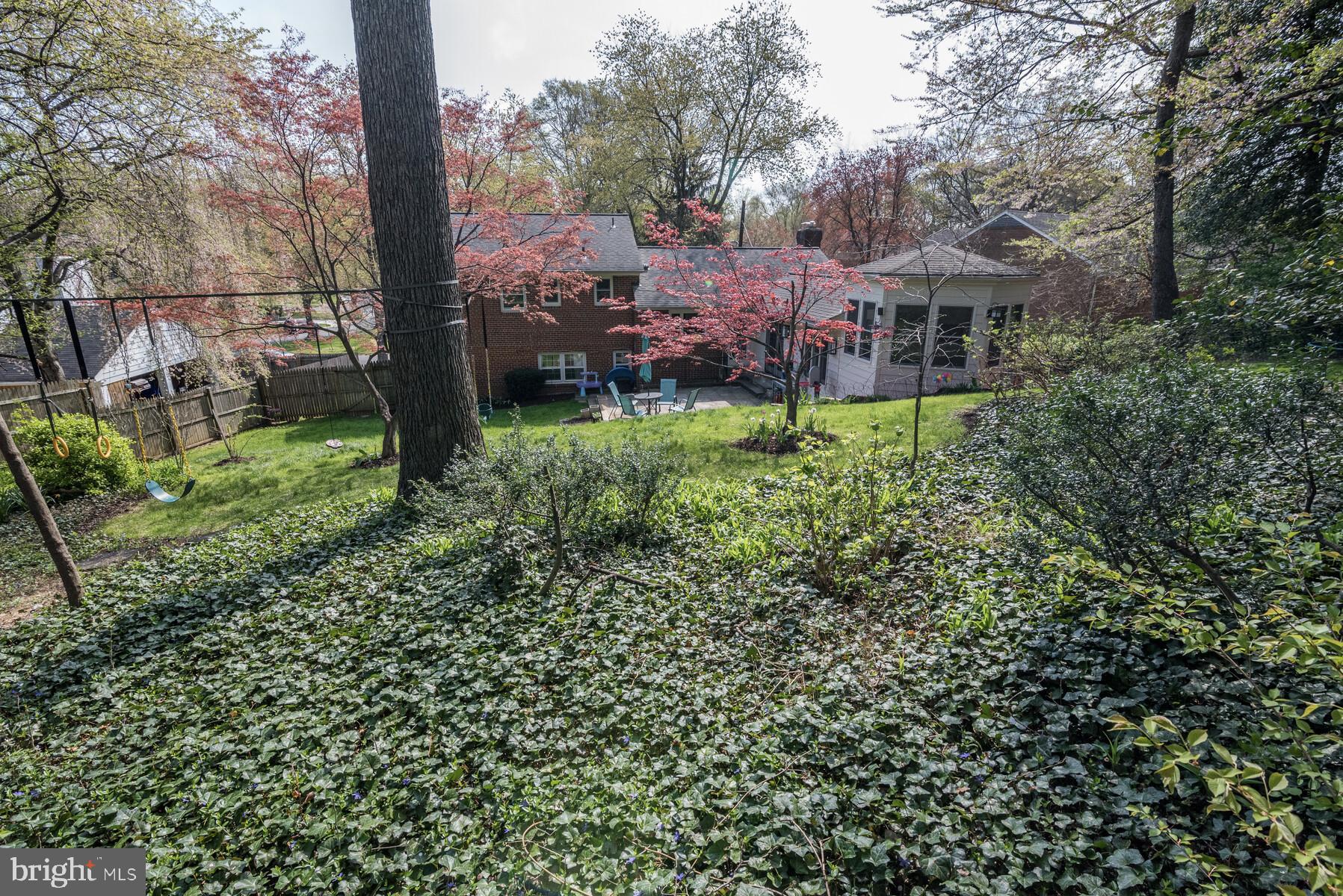 5512 Christy Drive Bethesda, MD 20816 - Photo 6 of 40 Deep backyard.