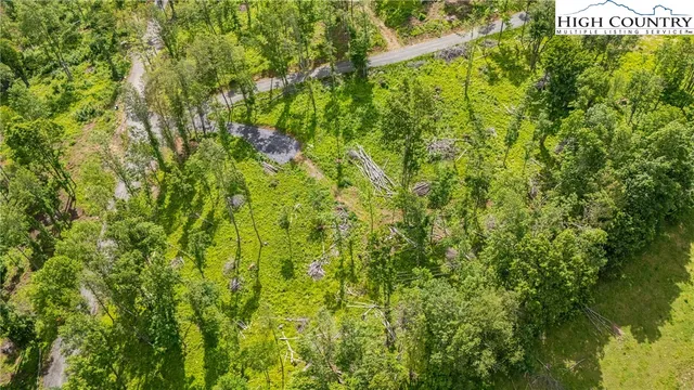 a view of yard and trees