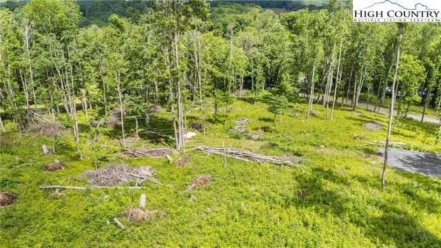 a backyard of a house with lots of green space and fountain