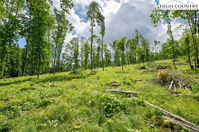 $179,900 | 342 Up The River Drive, Warrensville, NC 28693