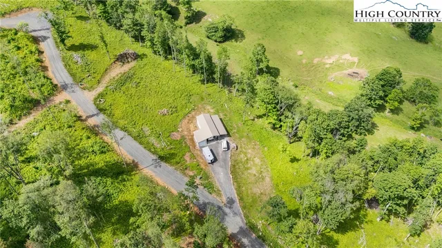a view of a lush green forest
