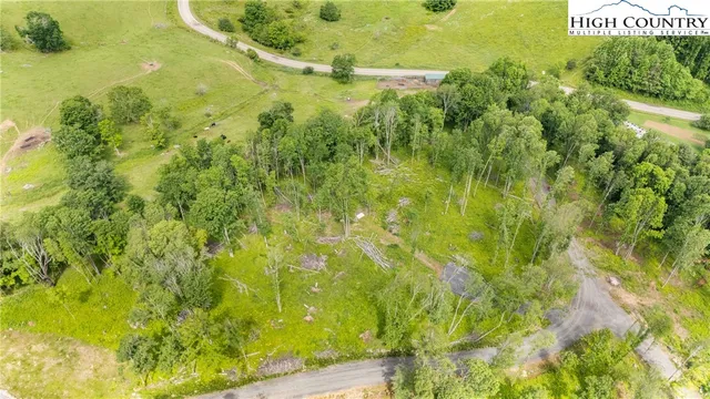 a view of outdoor space with a garden and trees