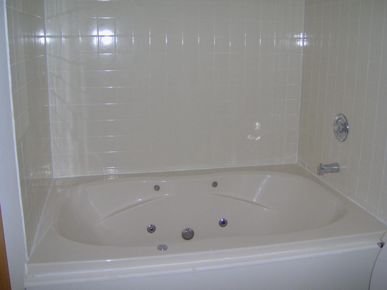 2210 Inverhouse Road Henryville, PA 18332 - Photo 4 of 5 Whirlpool tub