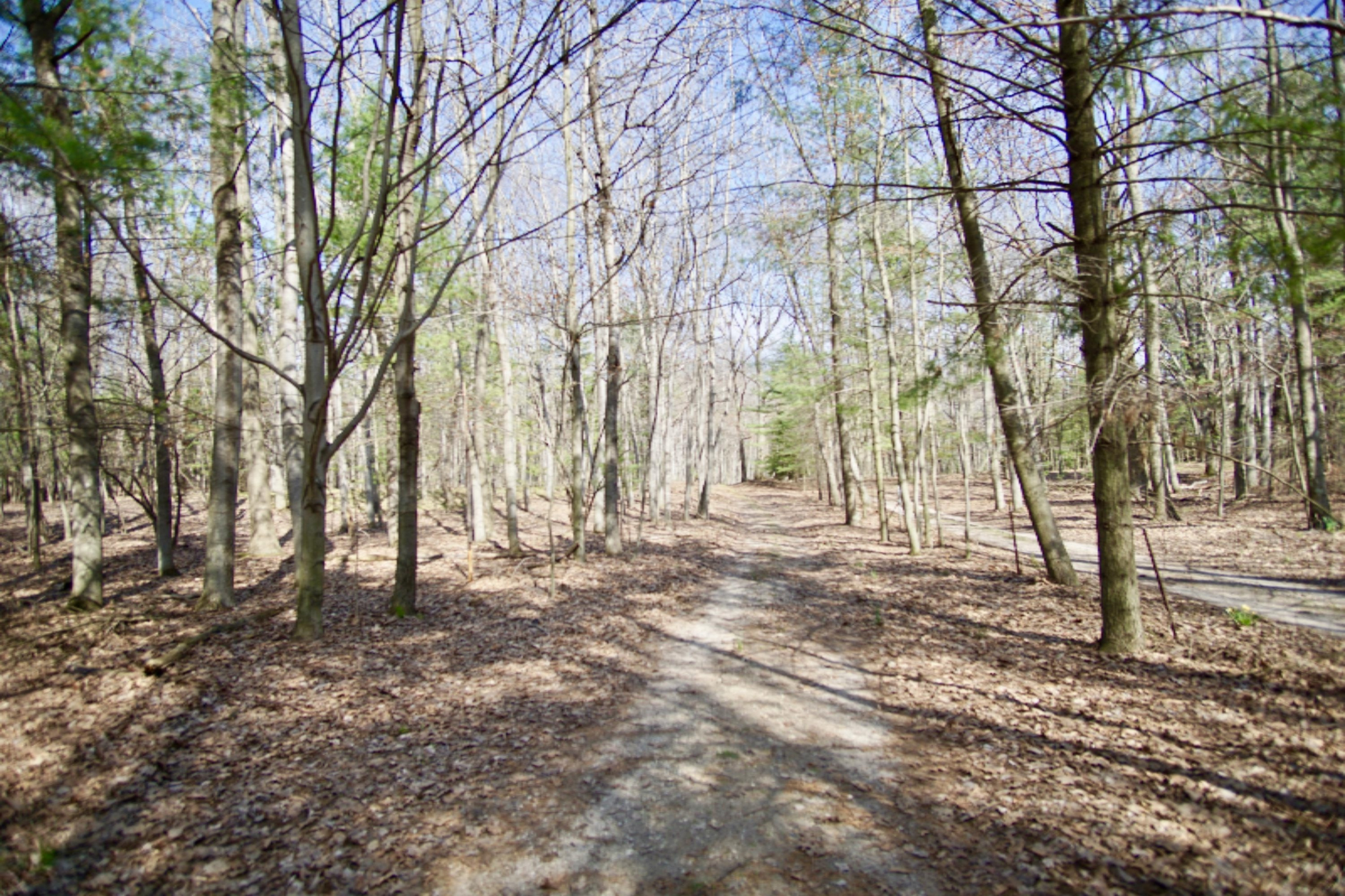 Waterfront North Ridge Road Mears, MI 49436 - Photo 11 of 17 fullsizeoutput_2a85