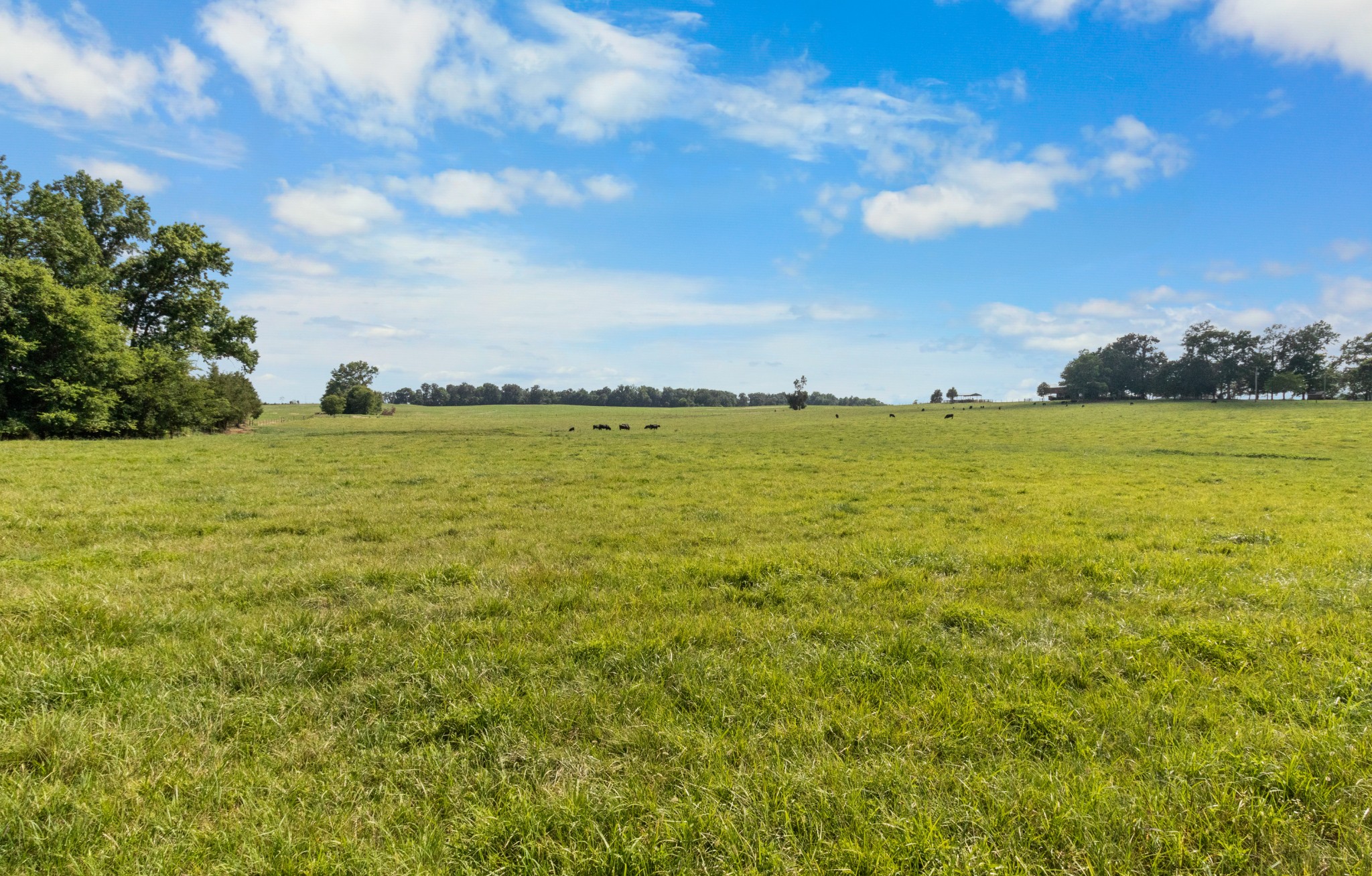 2951 Norfleet Road Adams, TN 37010 - Photo 2 of 37