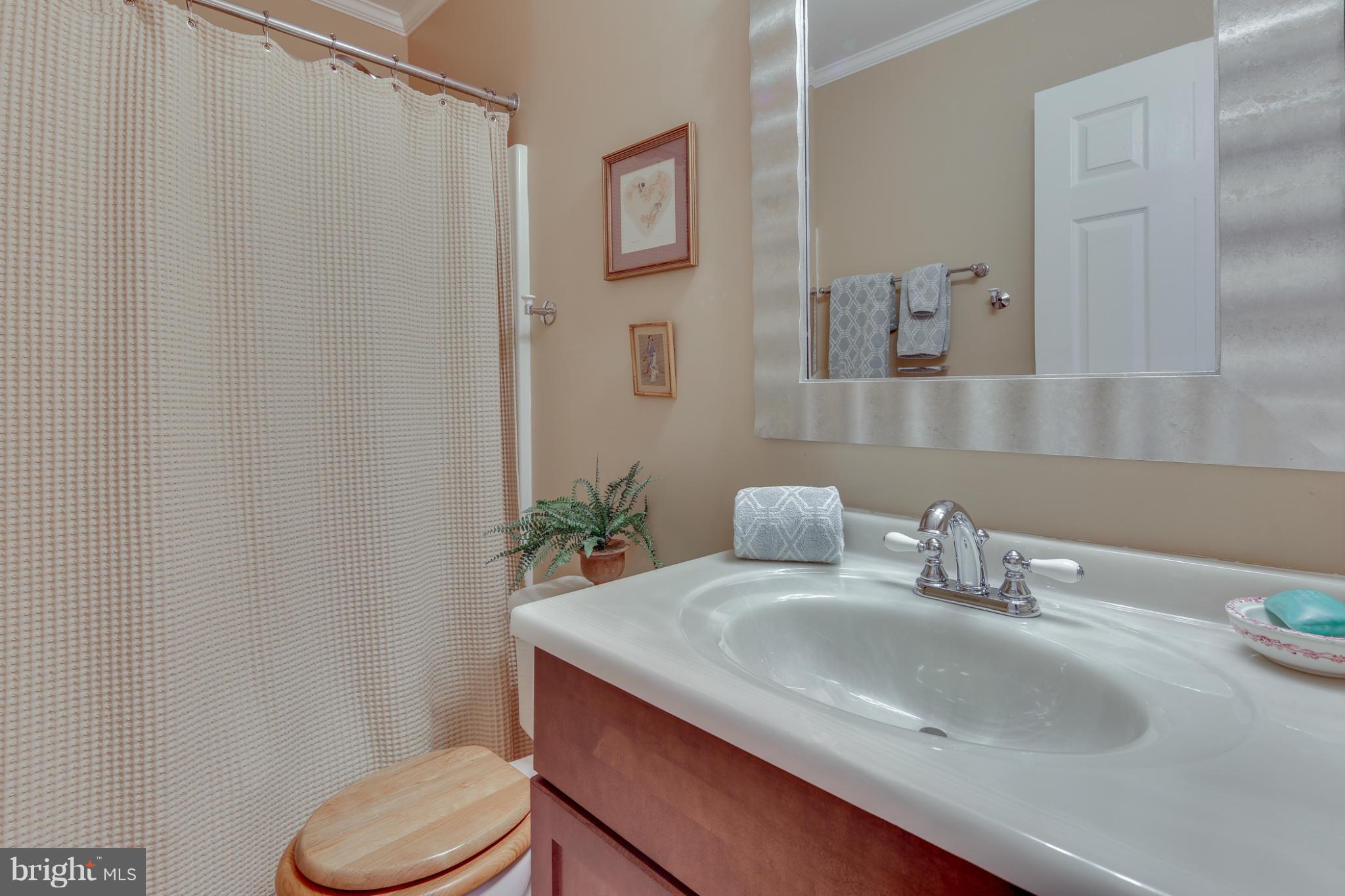 9258 Cartersville Road Columbia, MD 21046 - Photo 21 of 30 Bath