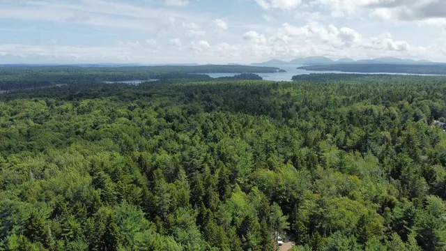 $44,900 | Lot #8 Leonia Road, Hancock, ME 04640