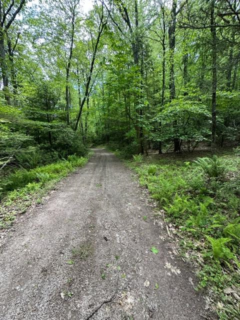 Tbd Blue Springs Road Troutdale, VA 24378 - Photo 49 of 52 Gallery Image 49