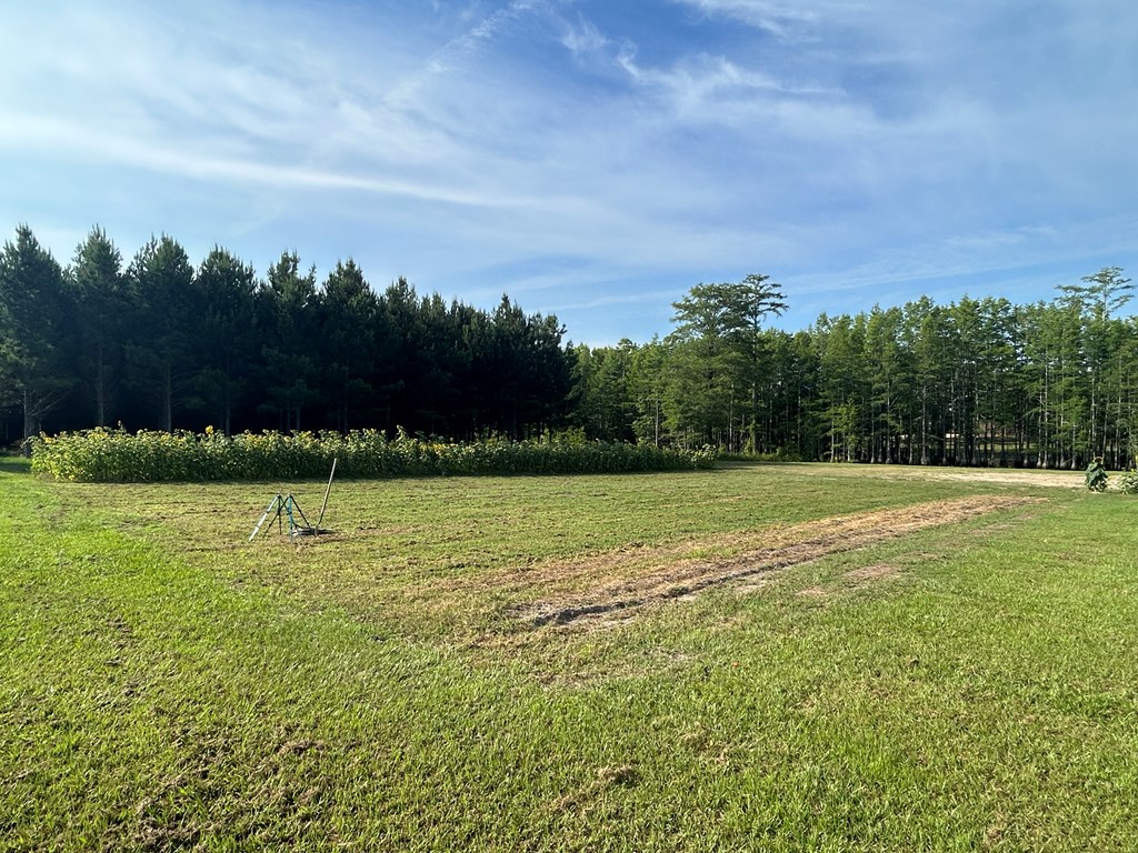 3876 D D Hodge Road Cottonwood, AL 36320 - Photo 19 of 48