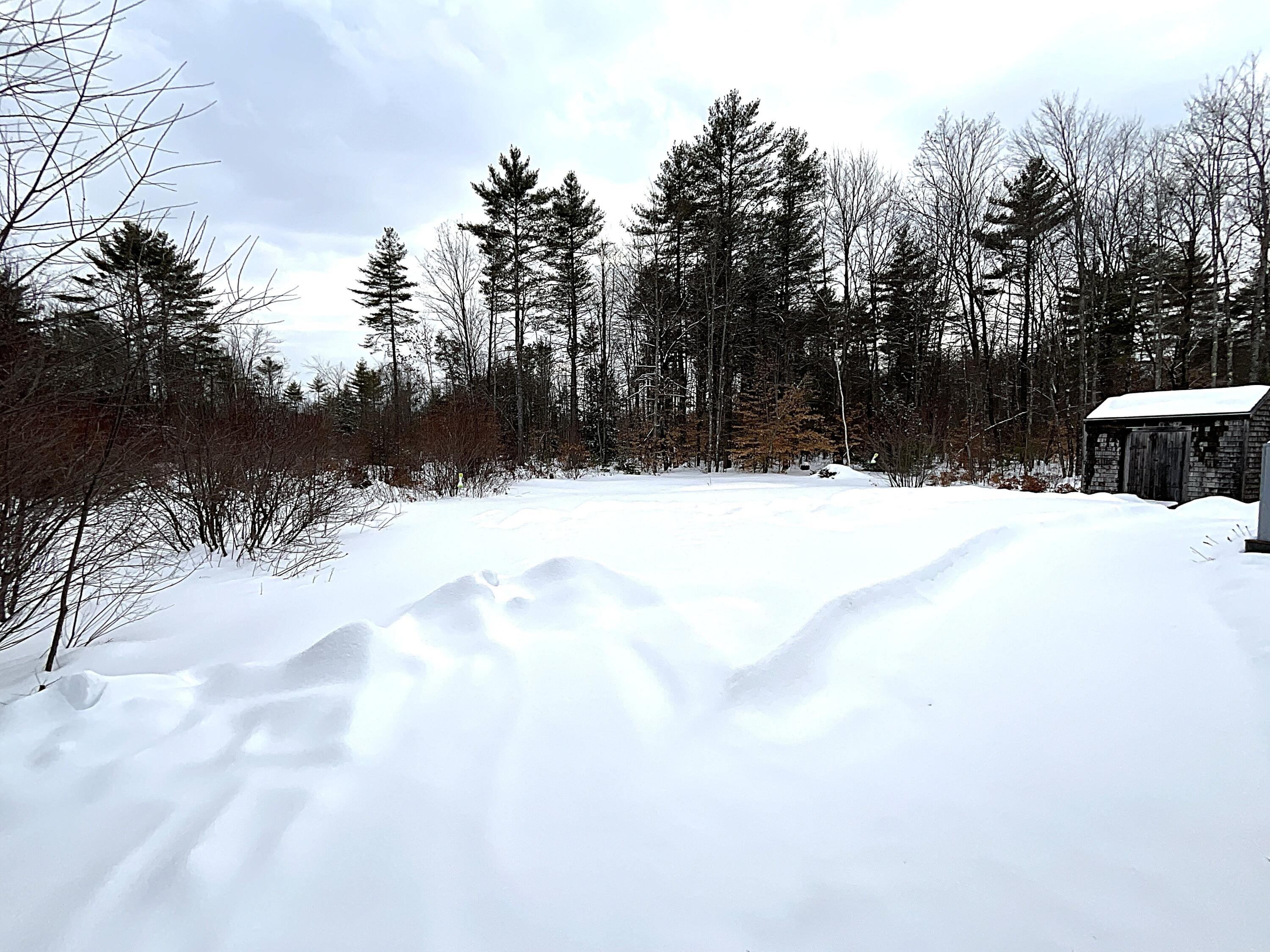 8 Evergreen Circle Limington, ME 04049 - Photo 17 of 18 Back Yard