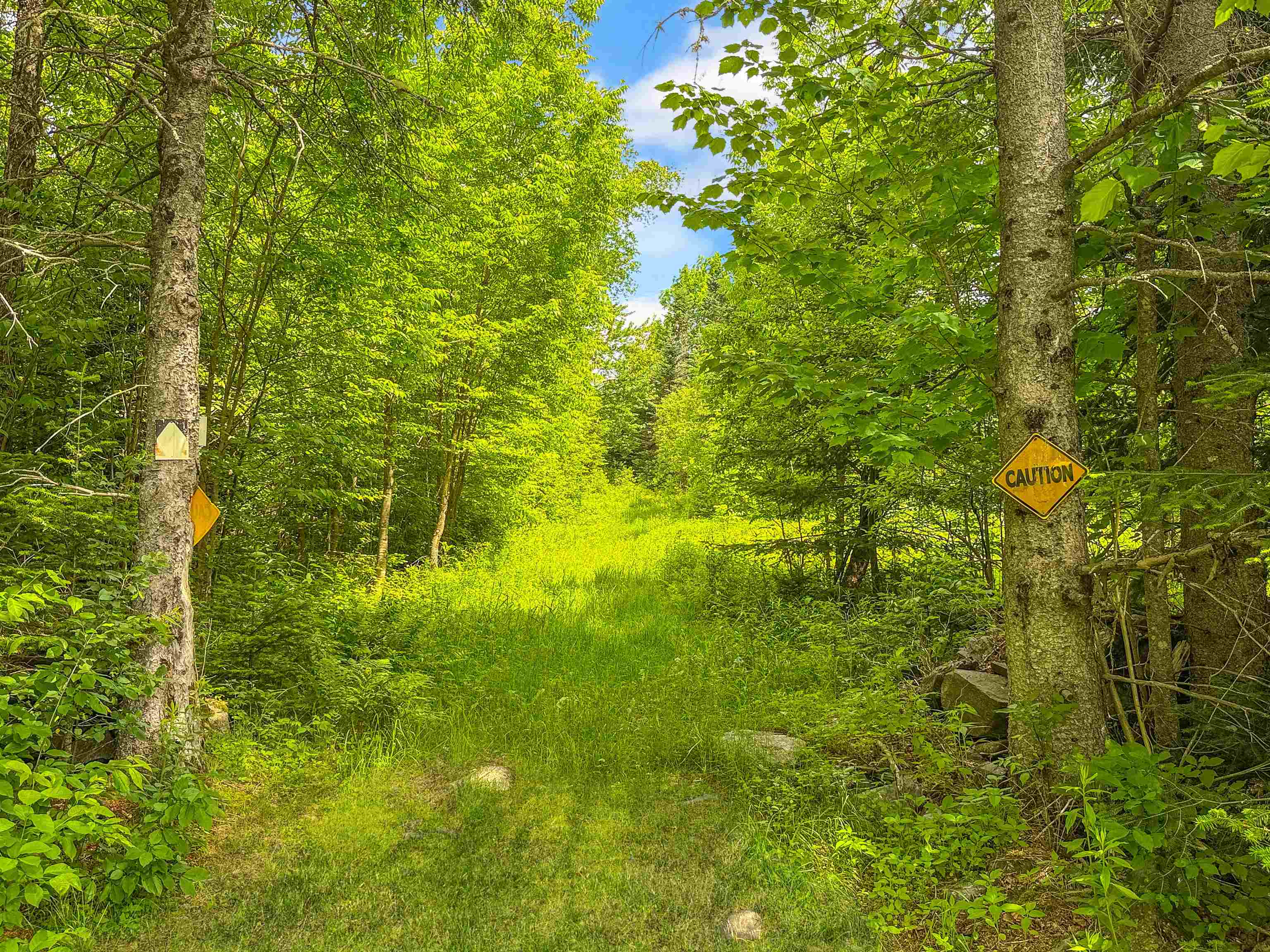 126 Gray Road Columbia, NH 03576 - Photo 48 of 59