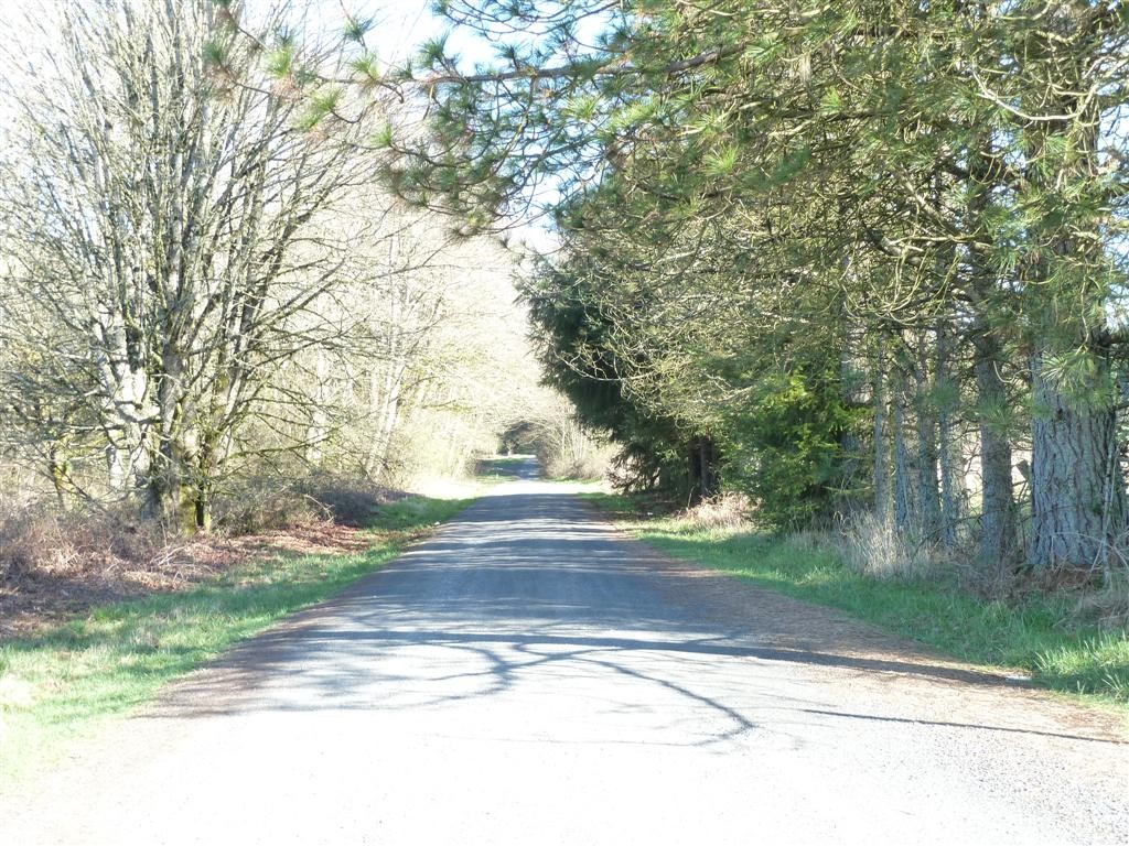 -xxx Smokey Ridge Road Onalaska, WA 98570 - Photo 3 of 9 Gallery Image 3