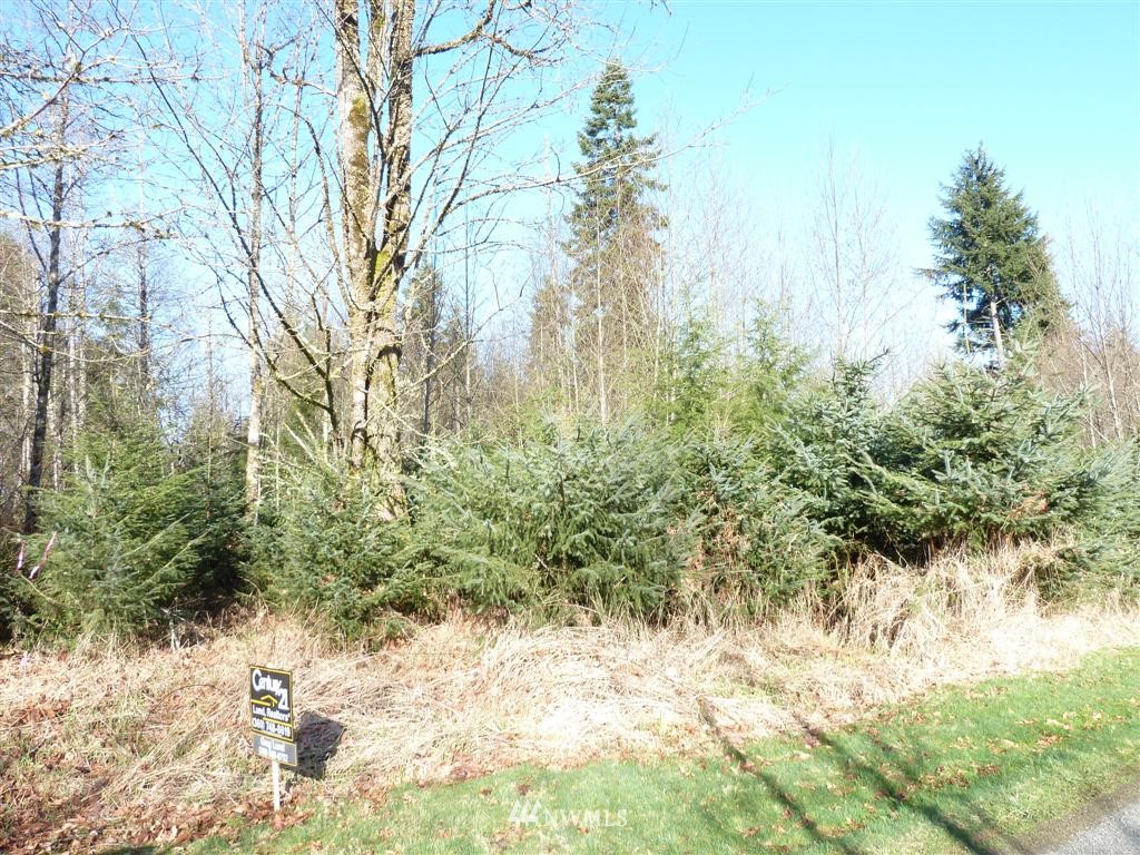 -xxx Smokey Ridge Road Onalaska, WA 98570 - Photo 4 of 9 Gallery Image 4