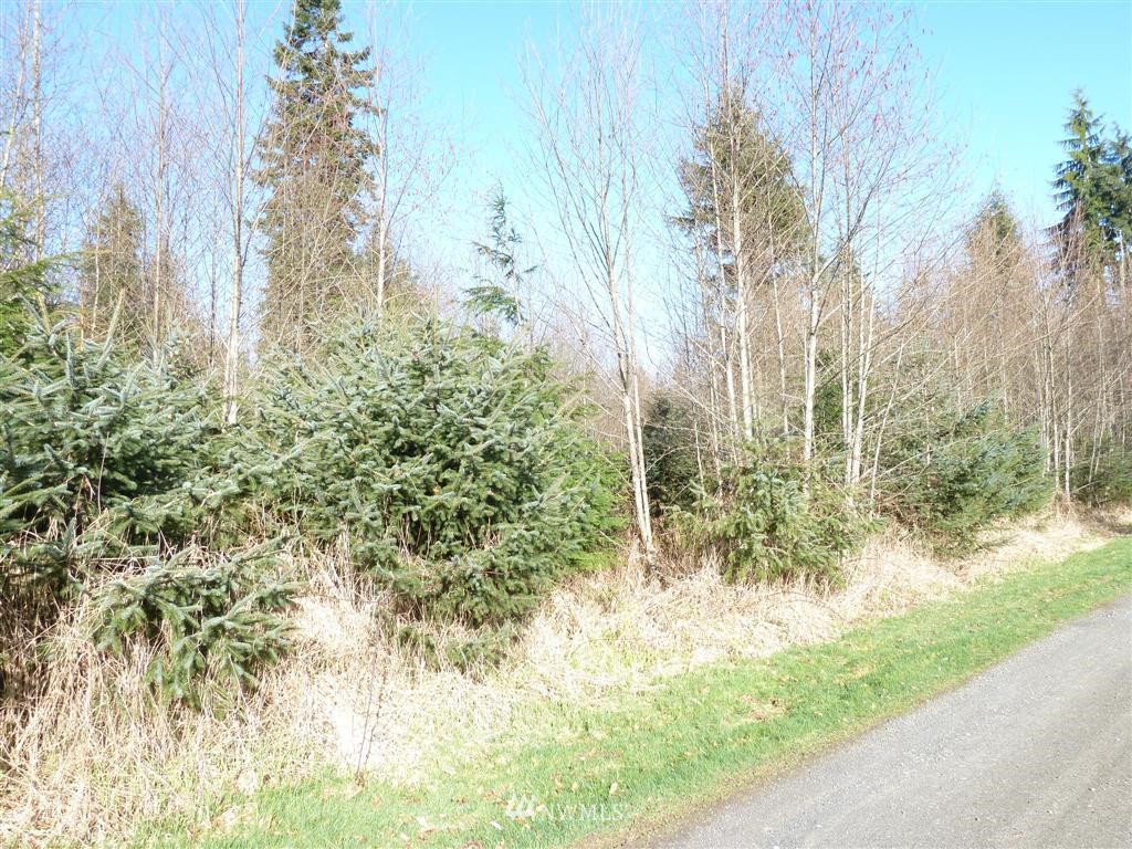 -xxx Smokey Ridge Road Onalaska, WA 98570 - Photo 6 of 9 Gallery Image 6