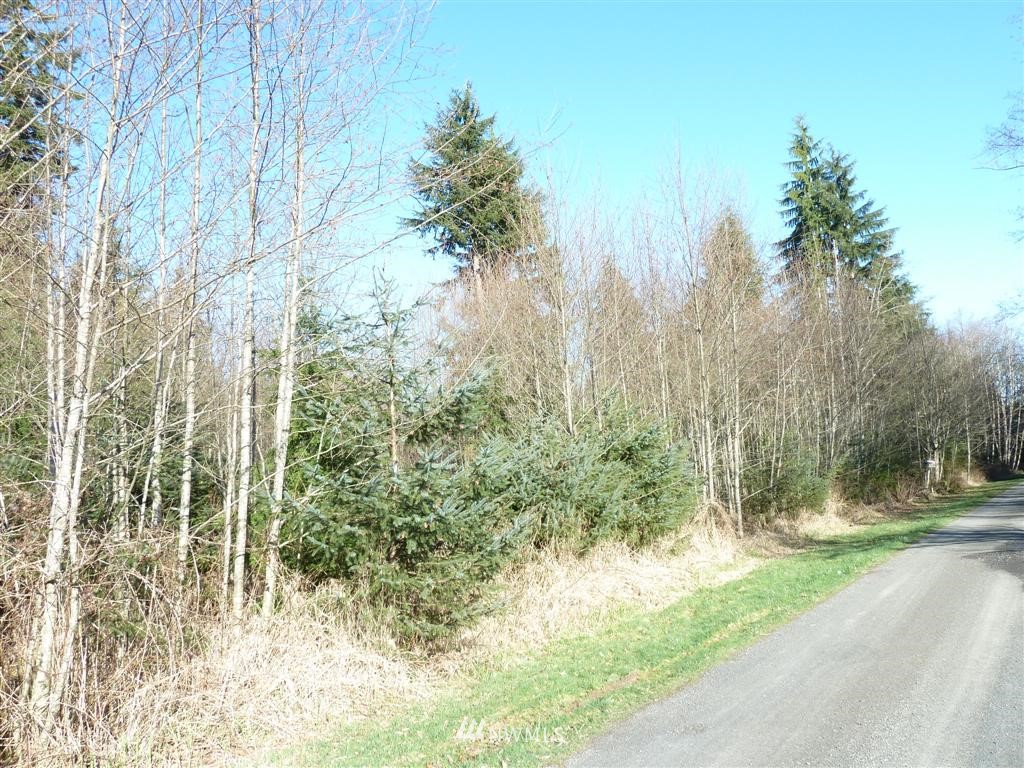 -xxx Smokey Ridge Road Onalaska, WA 98570 - Photo 7 of 9 Gallery Image 7