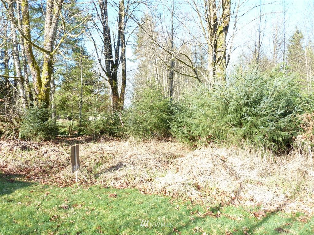-xxx Smokey Ridge Road Onalaska, WA 98570 - Photo 8 of 9 Gallery Image 8