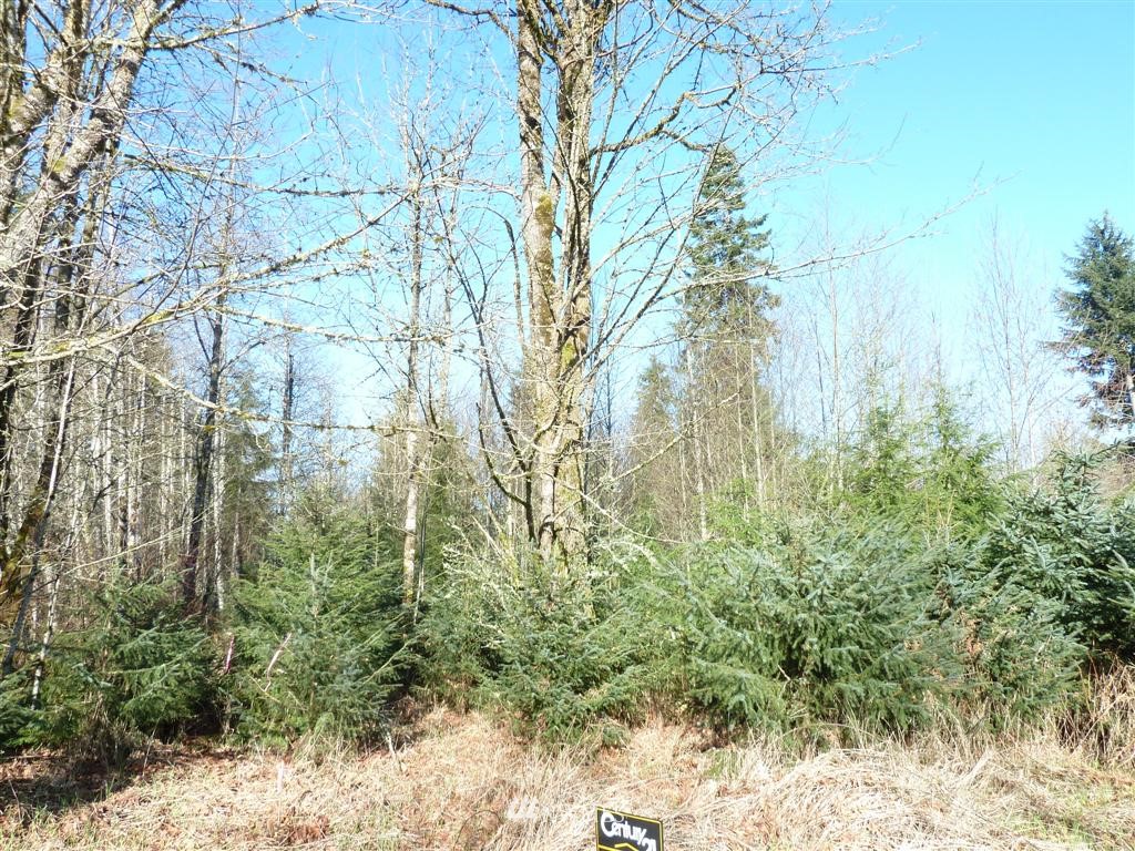 -xxx Smokey Ridge Road Onalaska, WA 98570 - Photo 9 of 9 Gallery Image 9