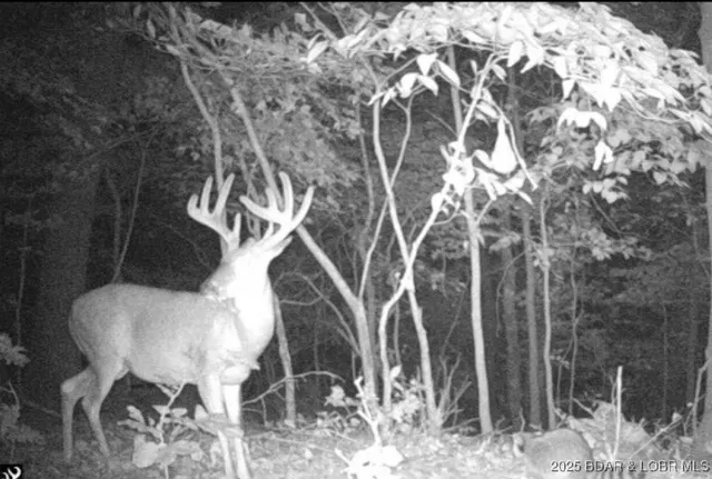 $875,000 | Tbd Vaughan Road, Eldon, MO 65026