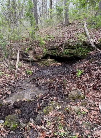 $875,000 | Tbd Vaughan Road, Eldon, MO 65026