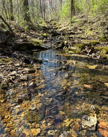 $875,000 | Tbd Vaughan Road, Eldon, MO 65026