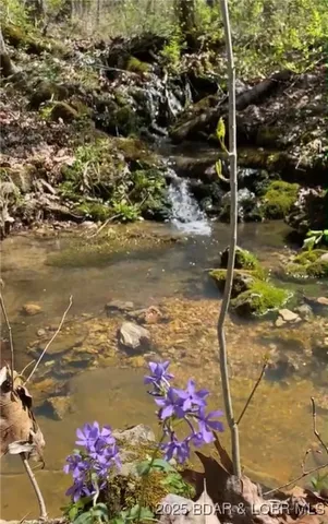 $875,000 | Tbd Vaughan Road, Eldon, MO 65026