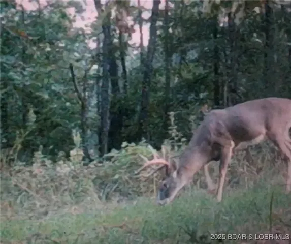 $875,000 | Tbd Vaughan Road, Eldon, MO 65026