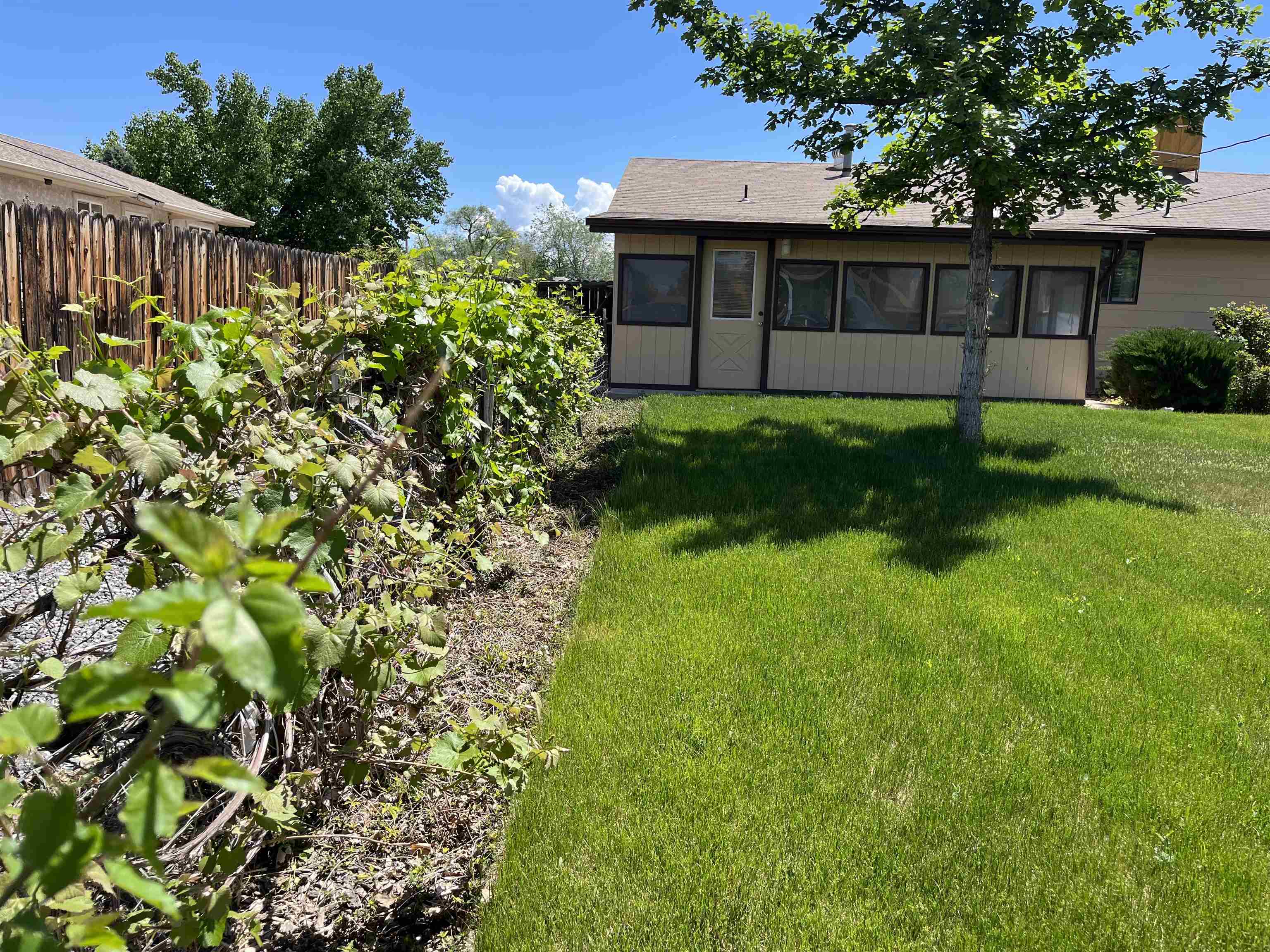 433 Doris Road Grand Junction, CO 81504 - Photo 2 of 17 Gallery Image 2