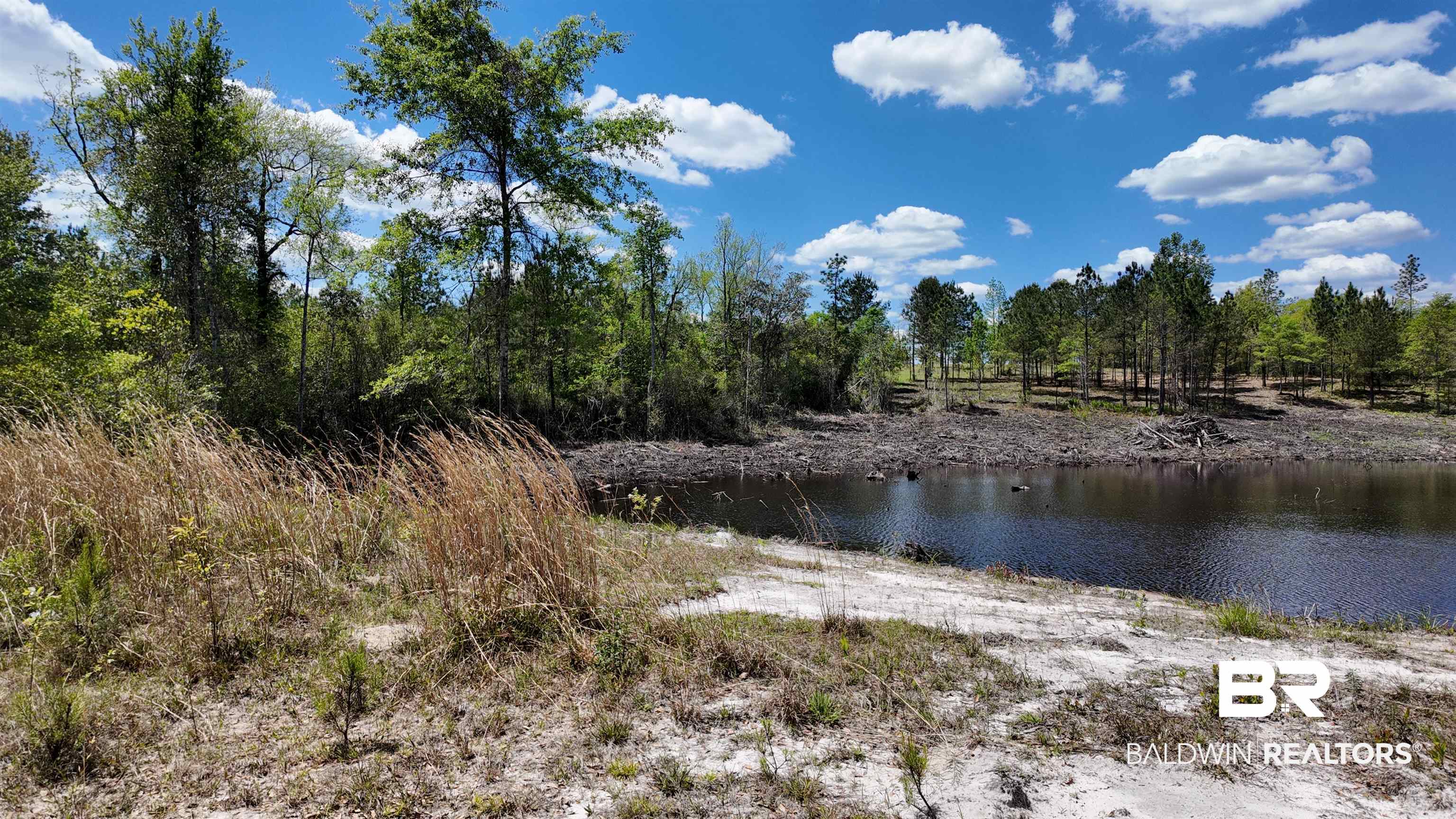 0 Powell Road Eight Mile, AL 36613 - Photo 39 of 57