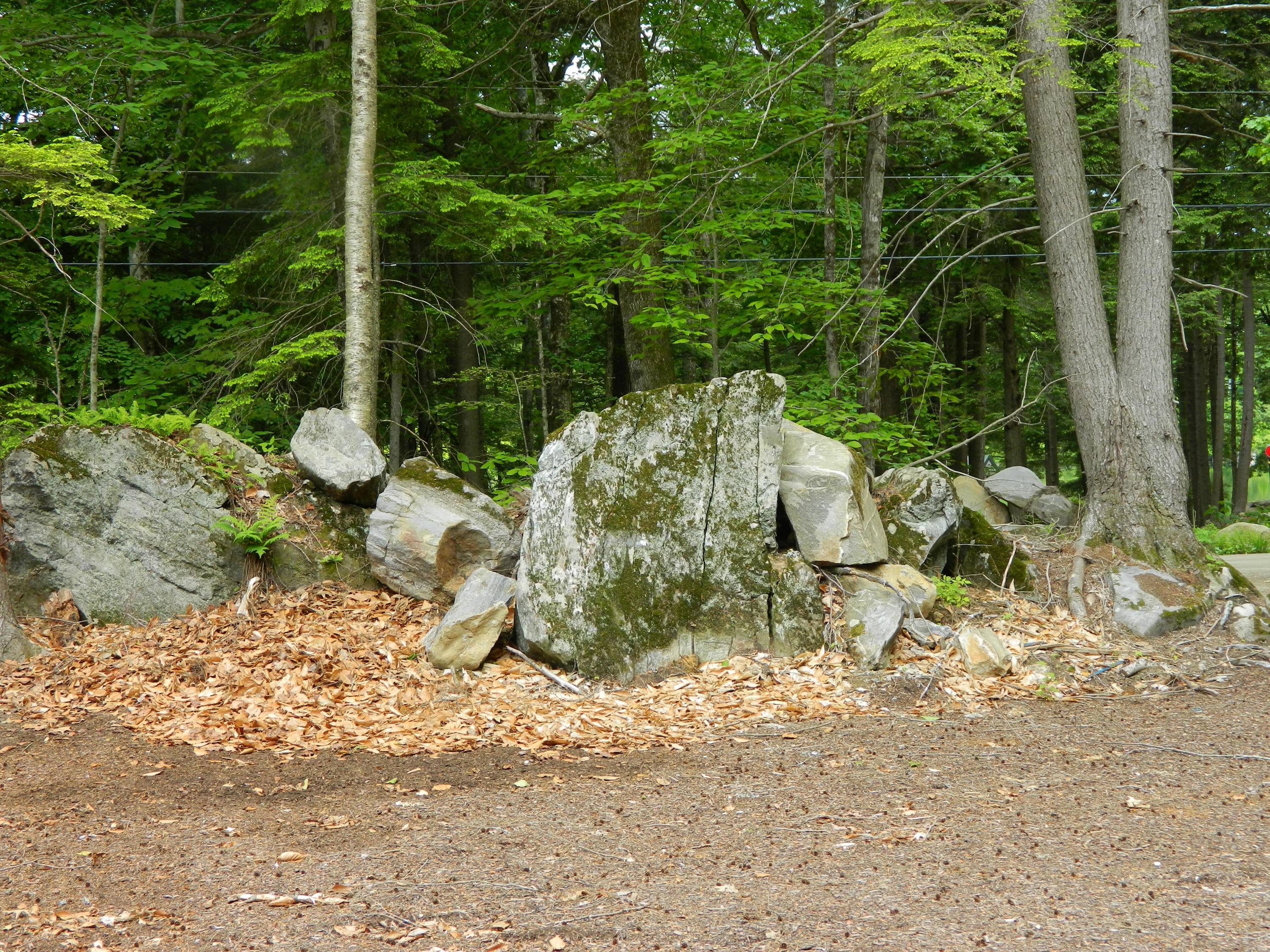 175 Torsey Shores Road Readfield, ME 04355 - Photo 20 of 23 Front Yard