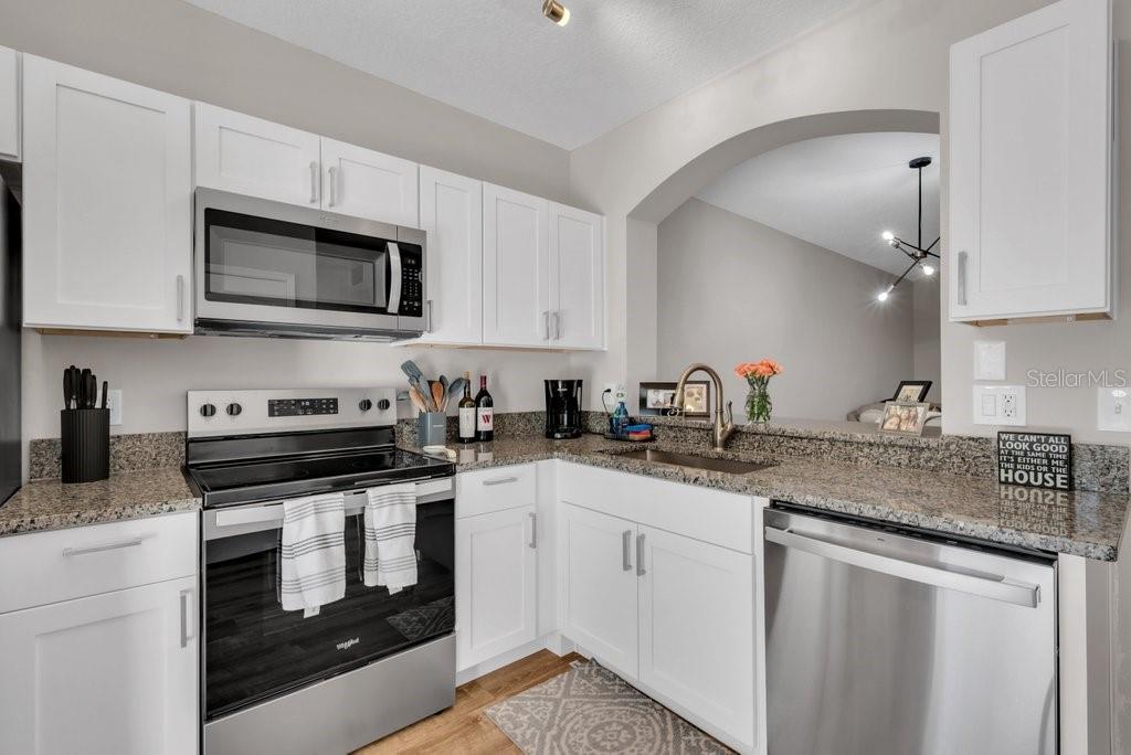 15855 Fishhawk View Drive Lithia, FL 33547 - Photo 13 of 31 a kitchen with granite countertop white cabinets sink and stainless steel appliances