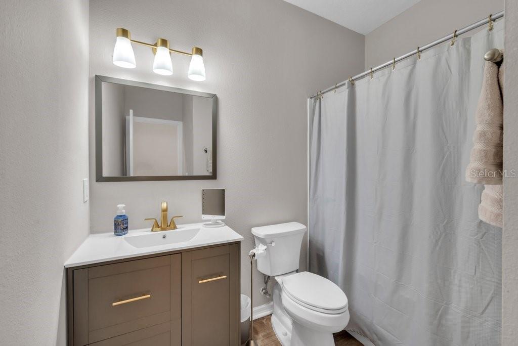 15855 Fishhawk View Drive Lithia, FL 33547 - Photo 19 of 31 a bathroom with a toilet a sink and a mirror