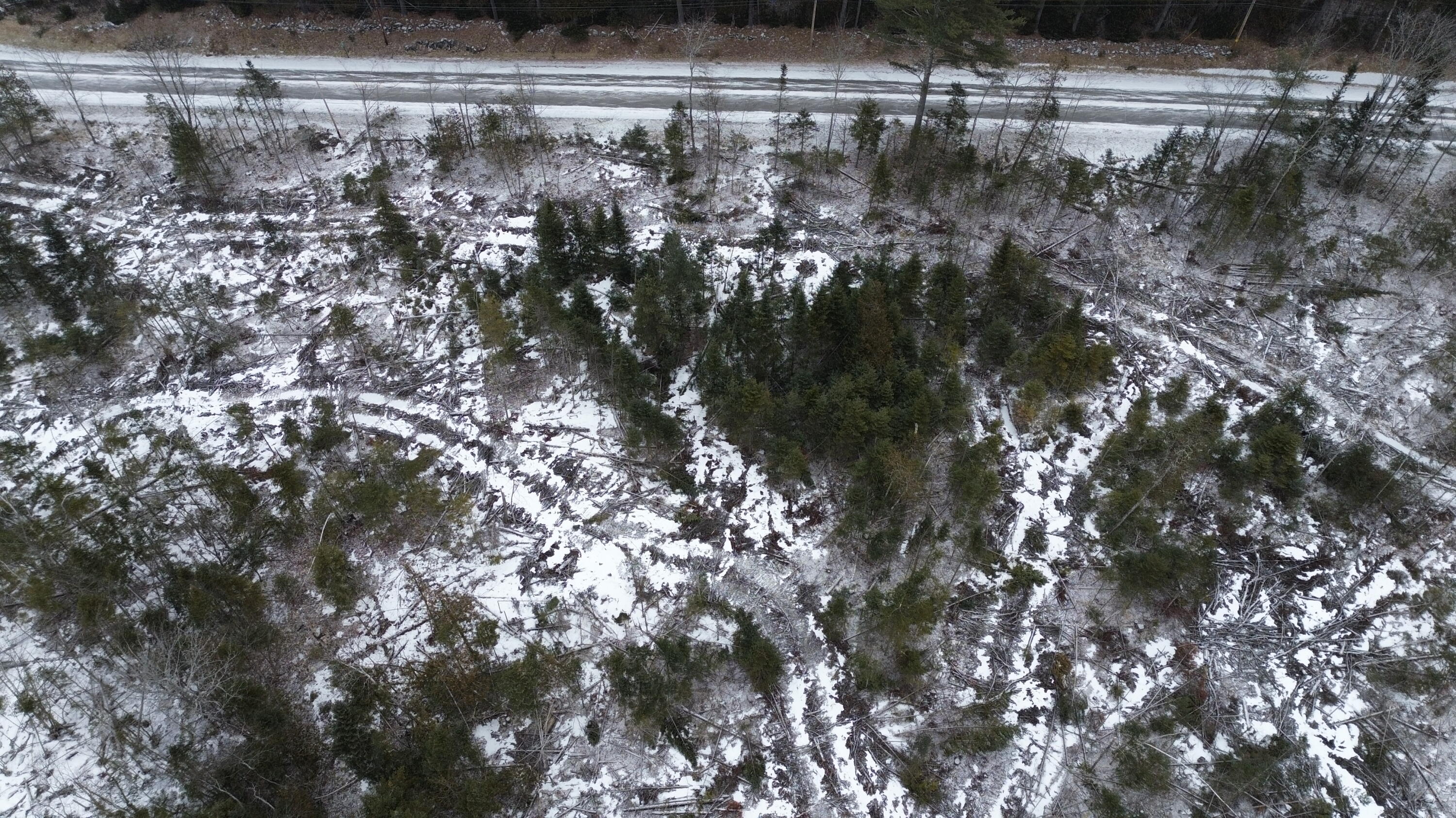 Lot 3 Sebec Village Road Sebec, ME 04481 - Photo 13 of 26 DJI_0457