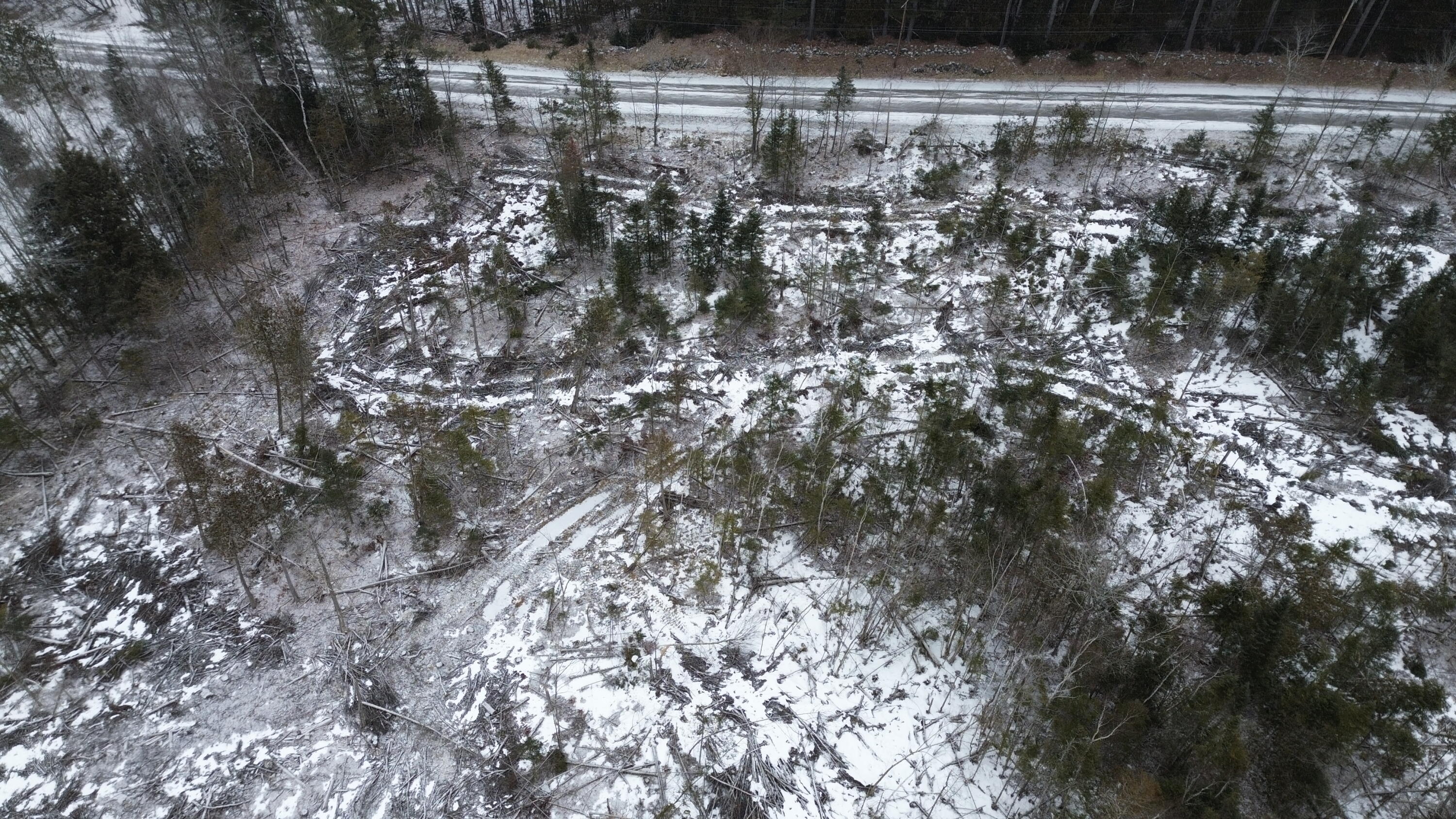 Lot 3 Sebec Village Road Sebec, ME 04481 - Photo 17 of 26 DJI_0455