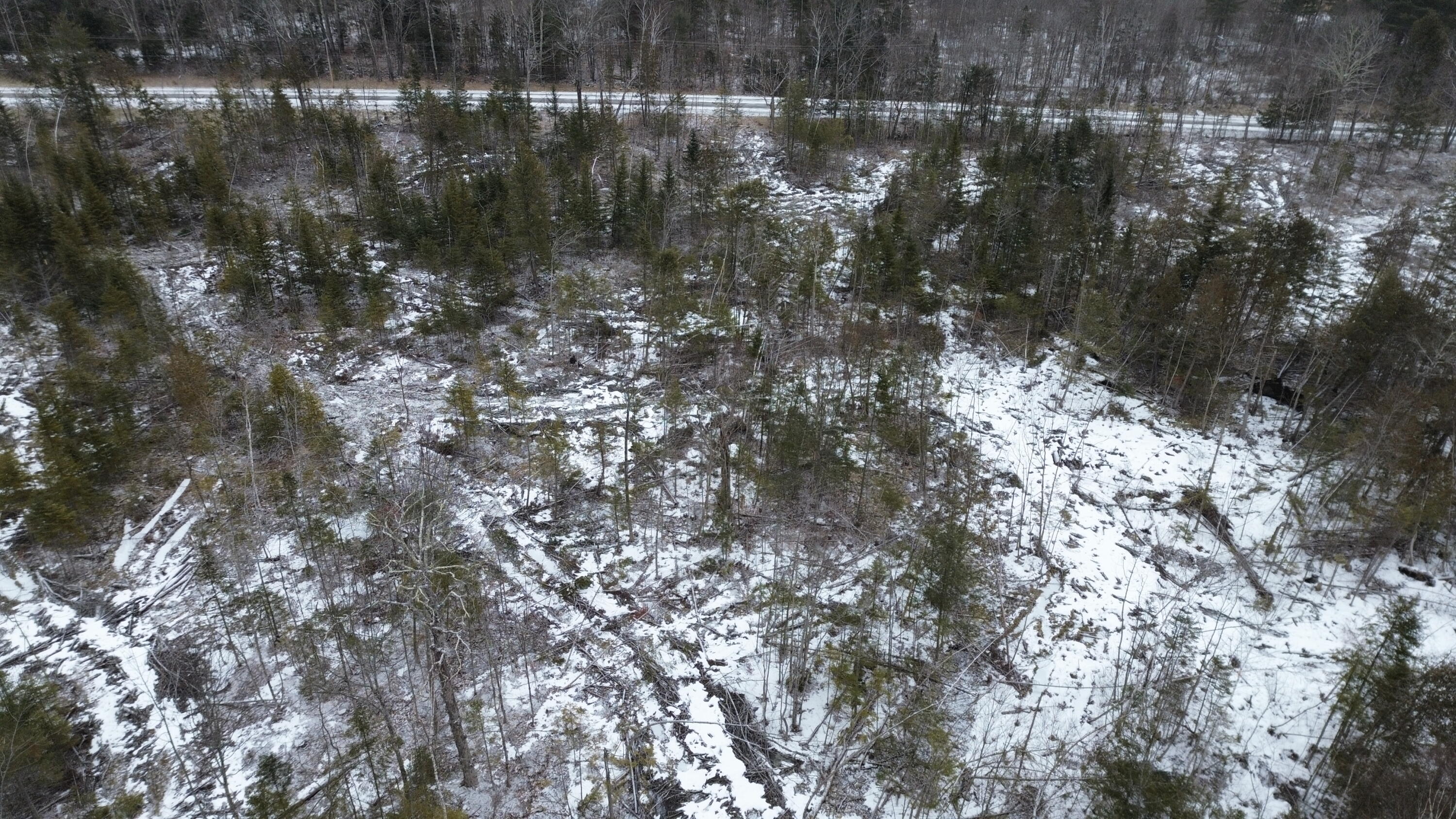Lot 3 Sebec Village Road Sebec, ME 04481 - Photo 23 of 26 DJI_0472