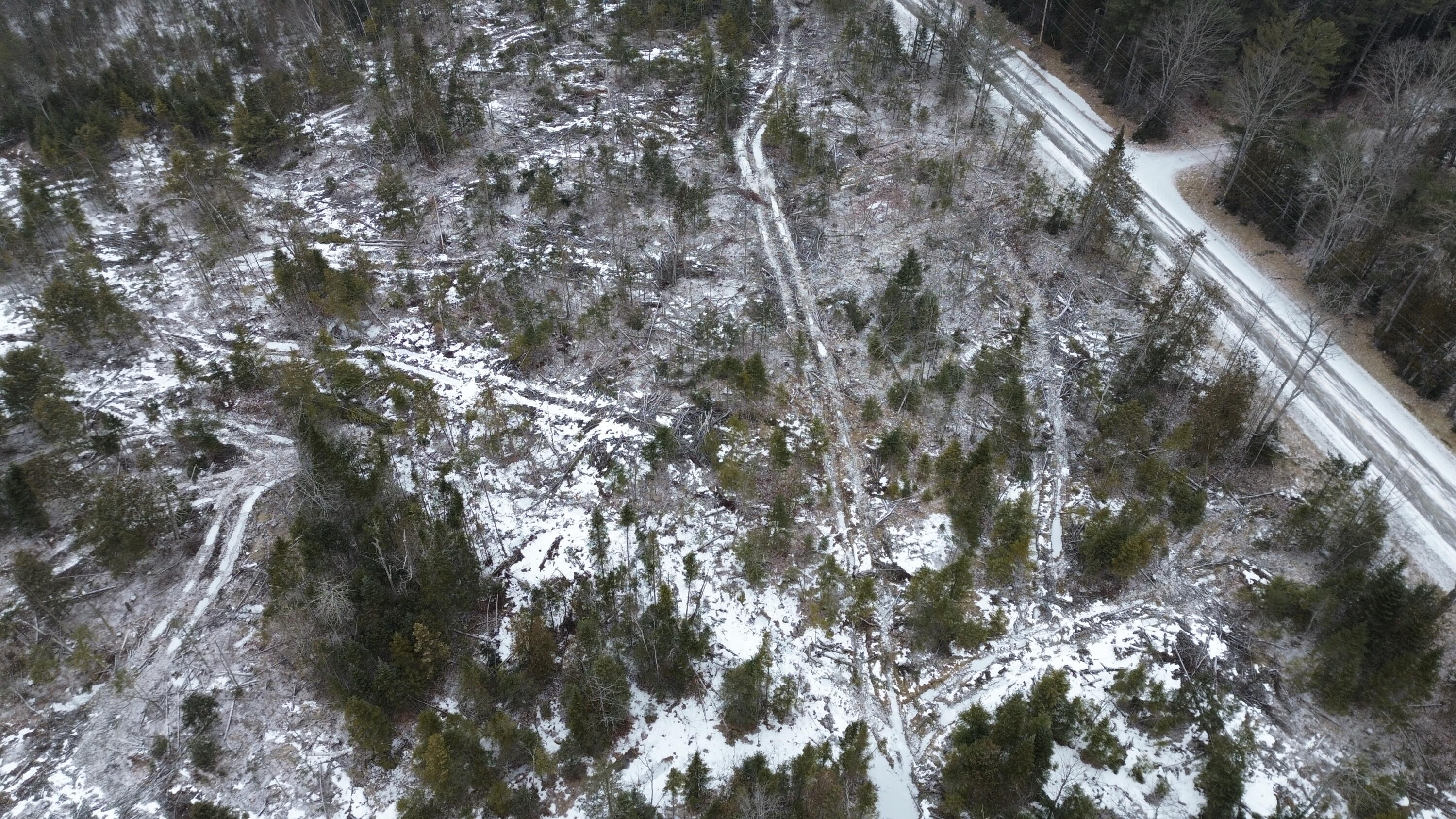 Lot 3 Sebec Village Road Sebec, ME 04481 - Photo 10 of 26 DJI_0462