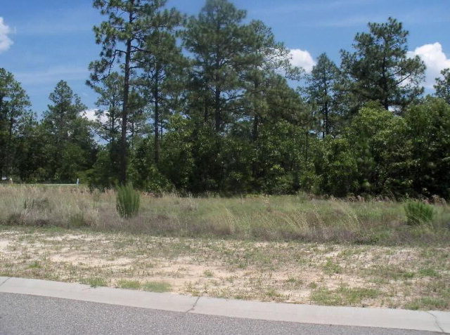 359 Steeplechase Road Aiken, SC 29803 - Photo 1 of 1
