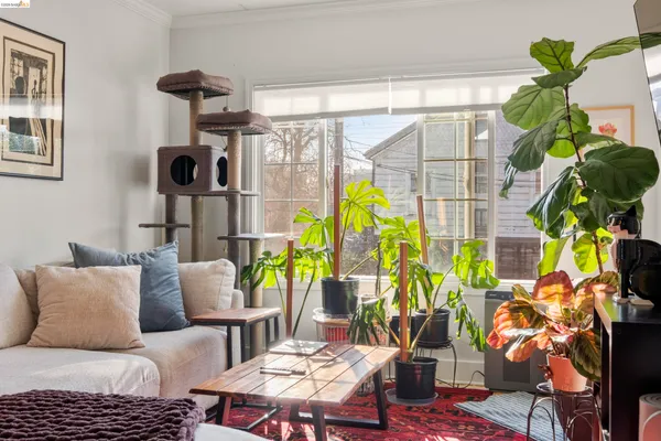 $1,550,000 | 1039 Channing Way, Berkeley, CA 94710