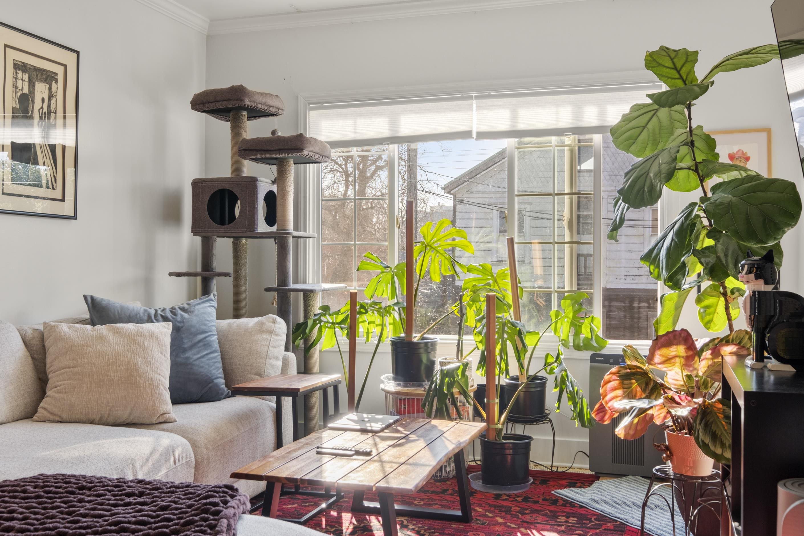 1039 Channing Way Berkeley, CA 94710 - Photo 13 of 25 Living room with crown molding