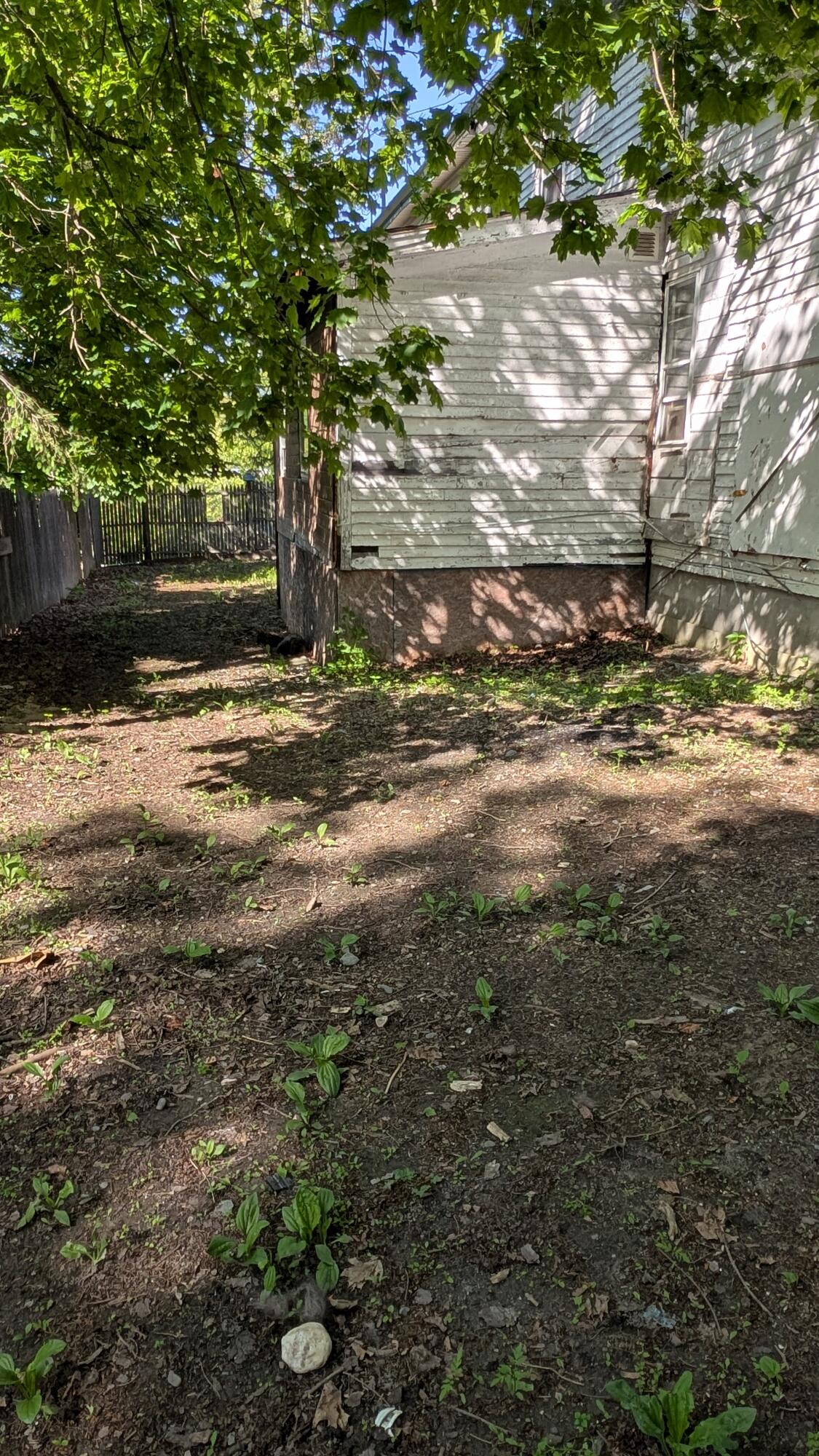 40 Walter Street Bangor, ME 04401 - Photo 5 of 38 Sideyard