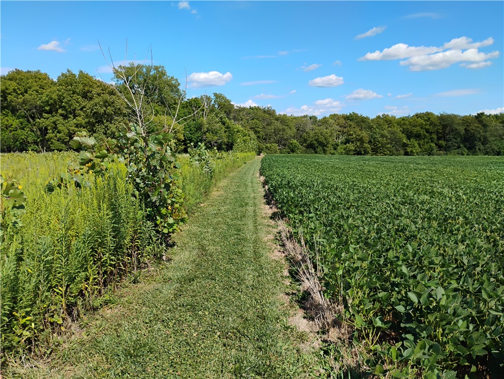 1462 North 3300 East Road Windsor, IL 61957 - Photo 10 of 38