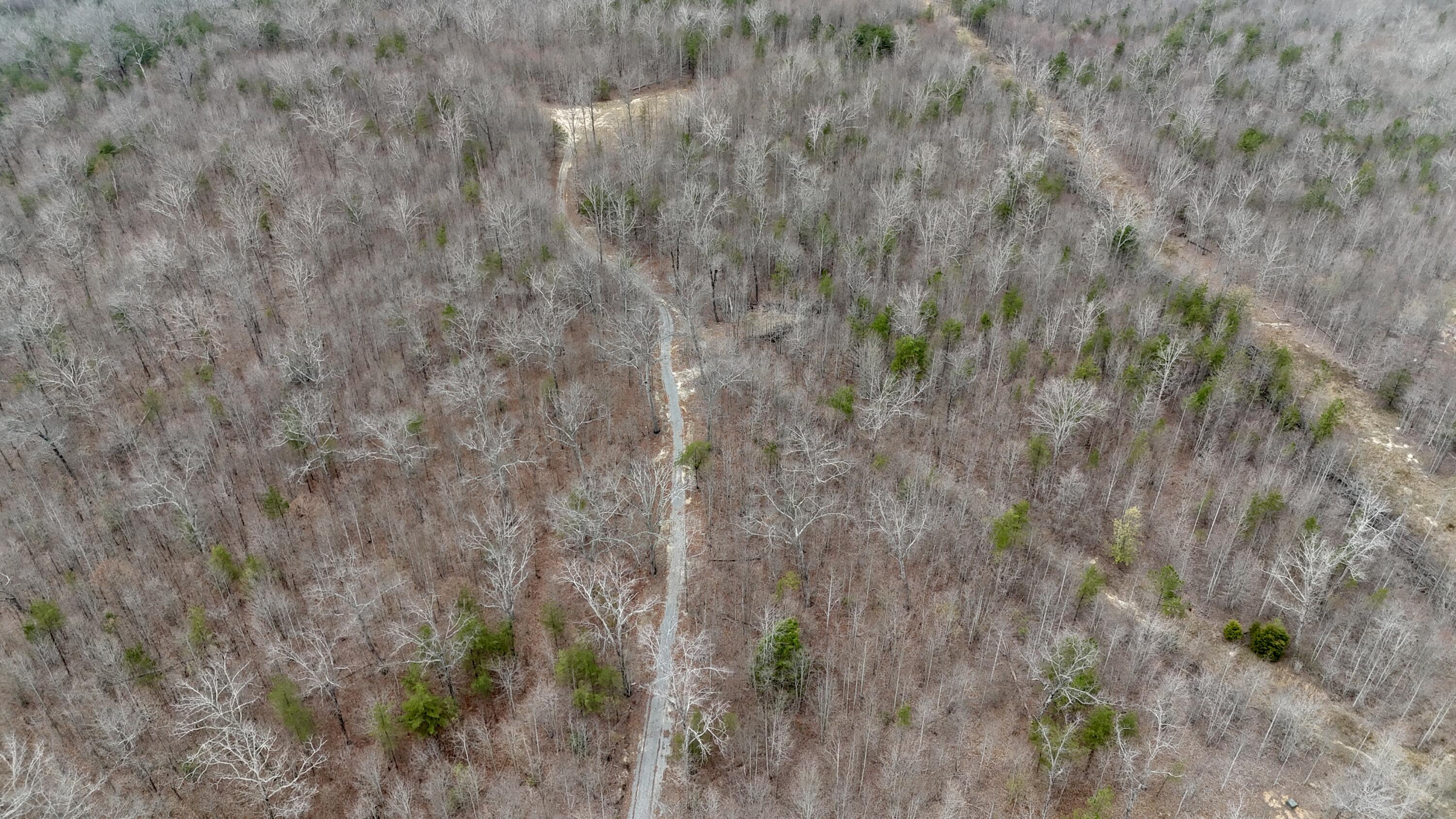833 Coke Bowman Road Soddy-Daisy, TN 37379 - Photo 8 of 15 land