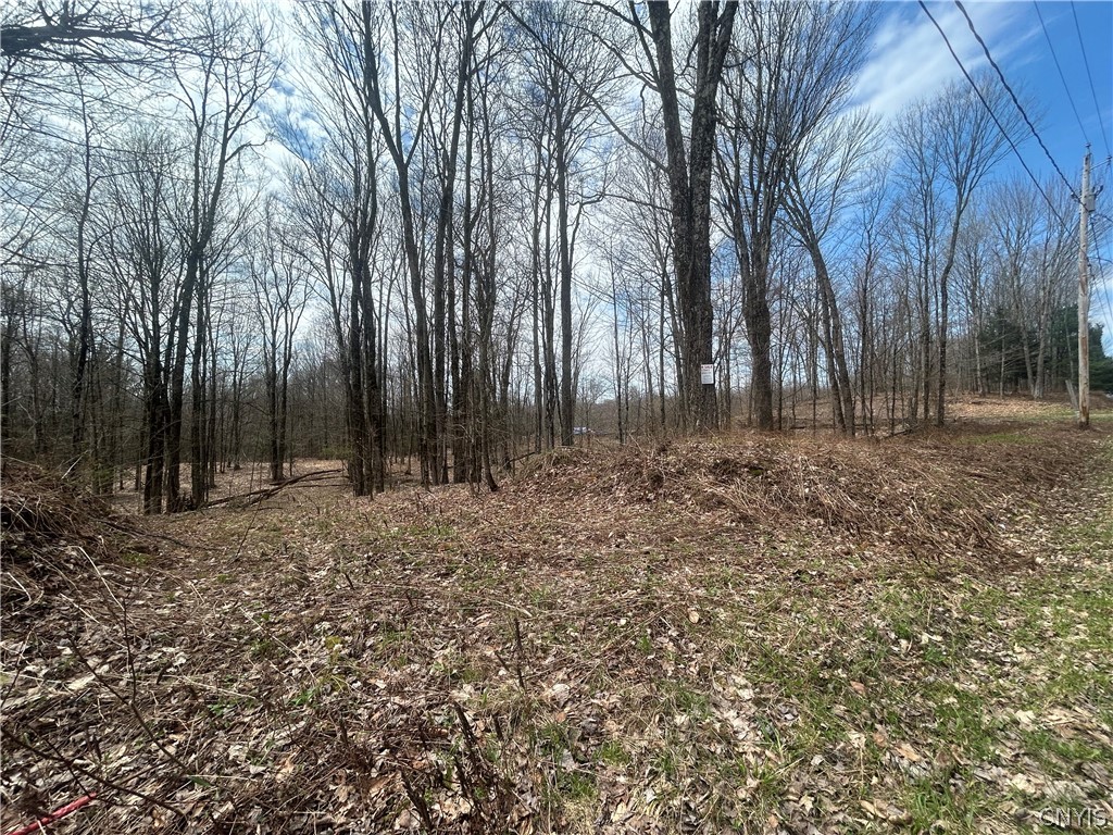 North Hillsborough Road Camden, NY 13316 - Photo 6 of 13