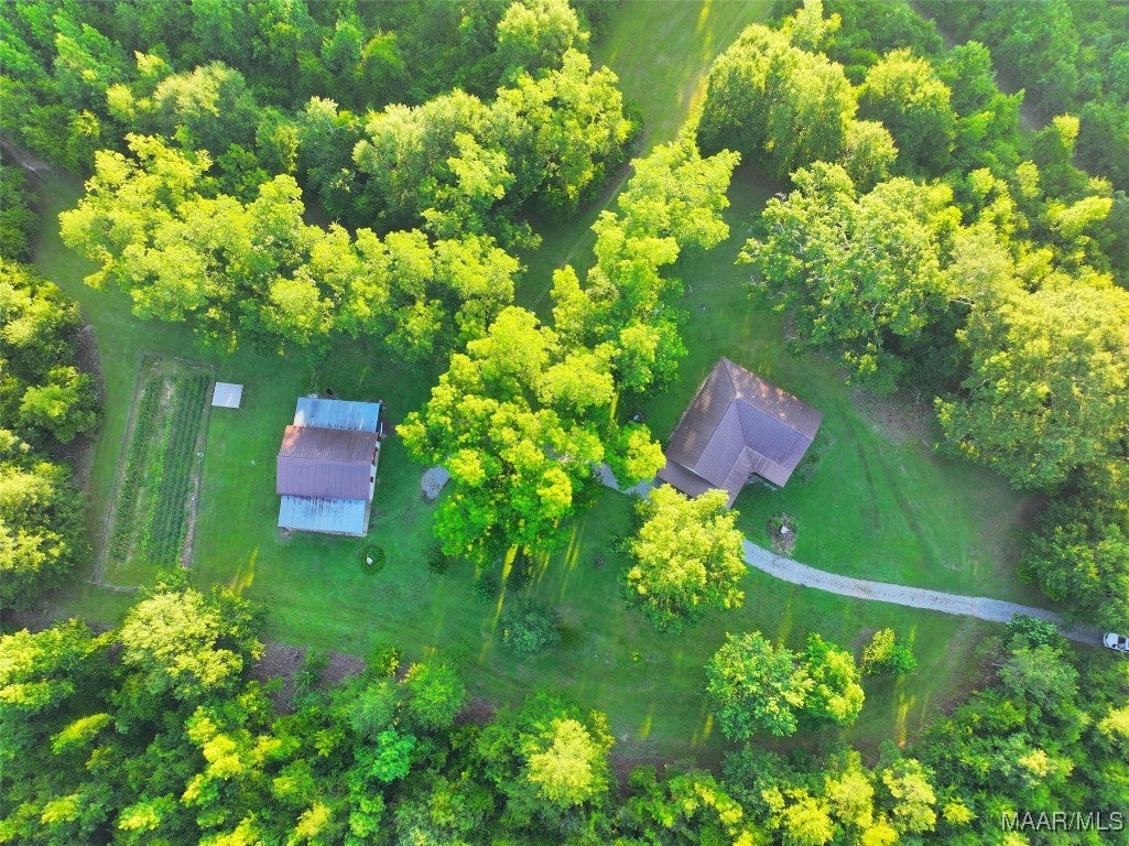 1205 Turkey Creek Road Luverne, AL 36049 - Photo 4 of 51 Gallery Image 4