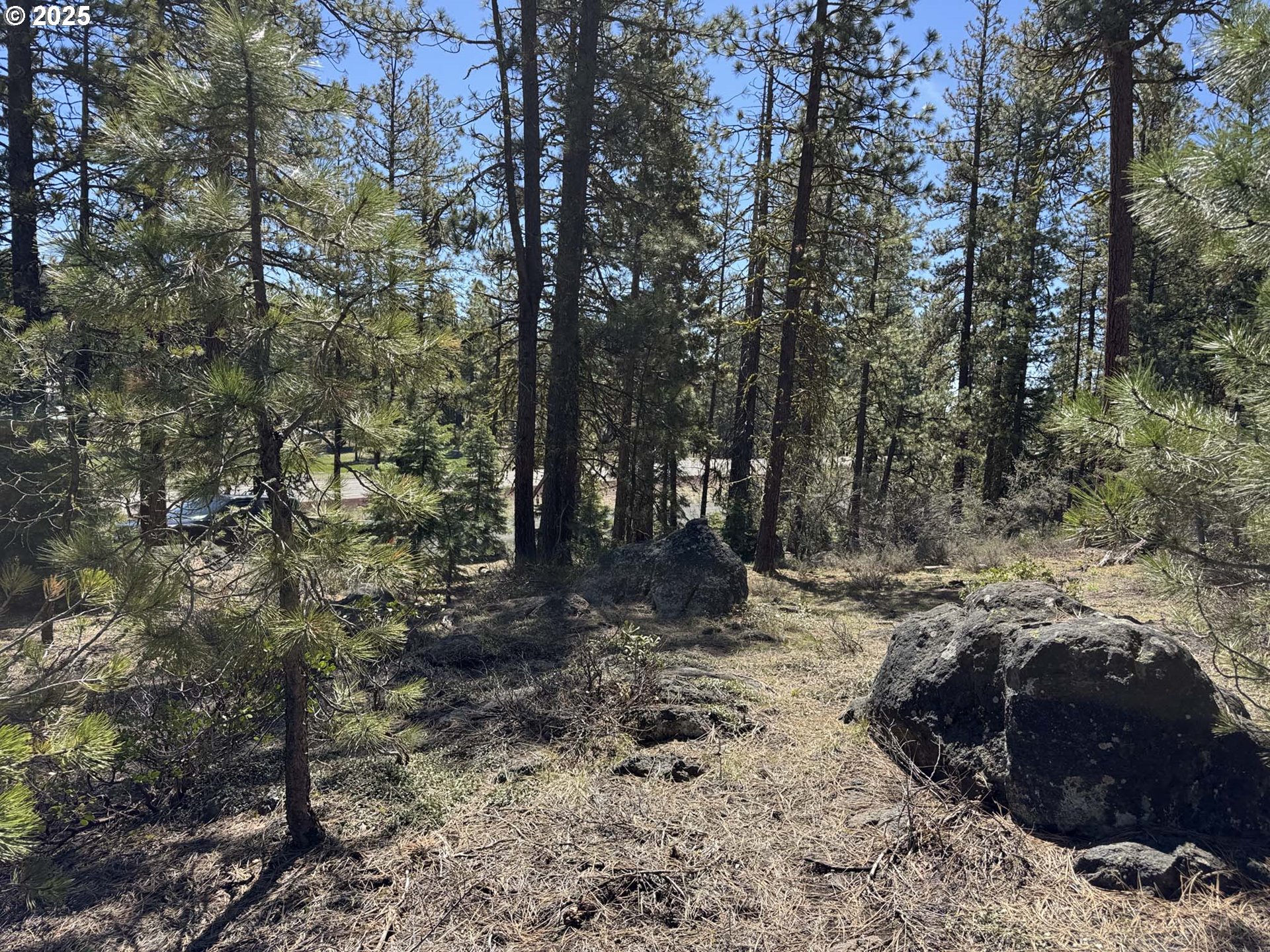 Horned Owl Lane Bonanza, OR 97623 - Photo 20 of 44