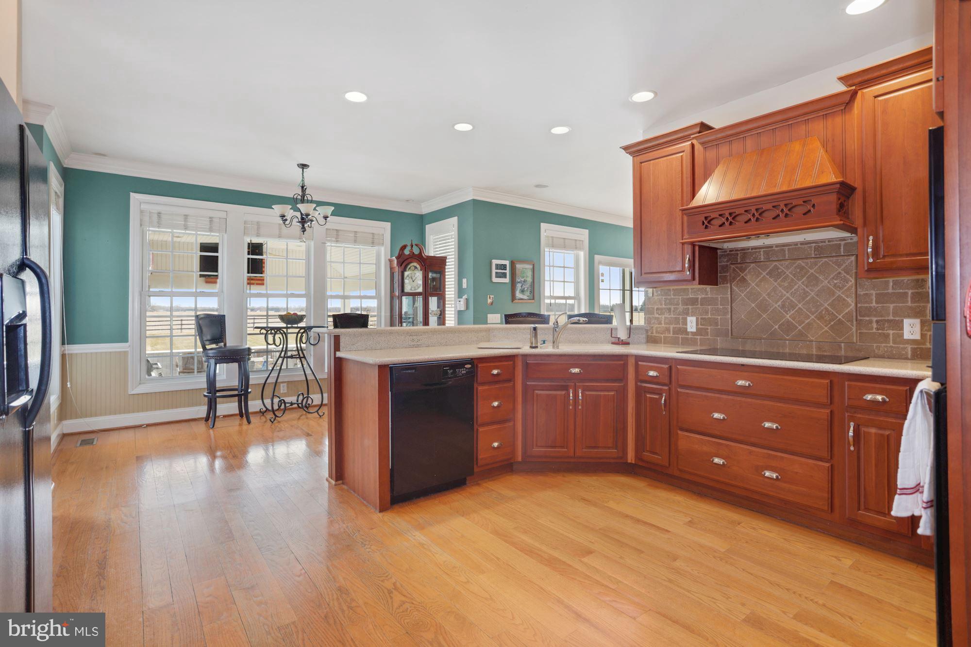 2132 Ruthsburg Road Centreville, MD 21617 - Photo 18 of 60 Gallery Image 18