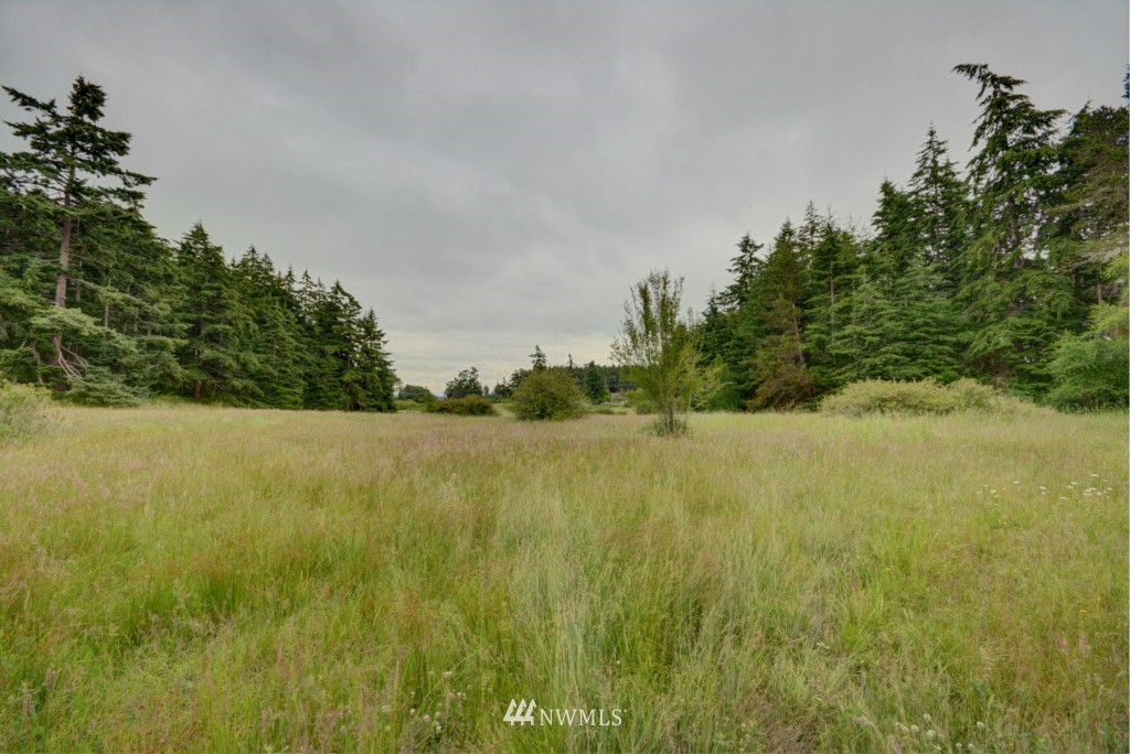 1092 West Waterloo Road Oak Harbor, WA 98277 - Photo 20 of 25 Gallery Image 20