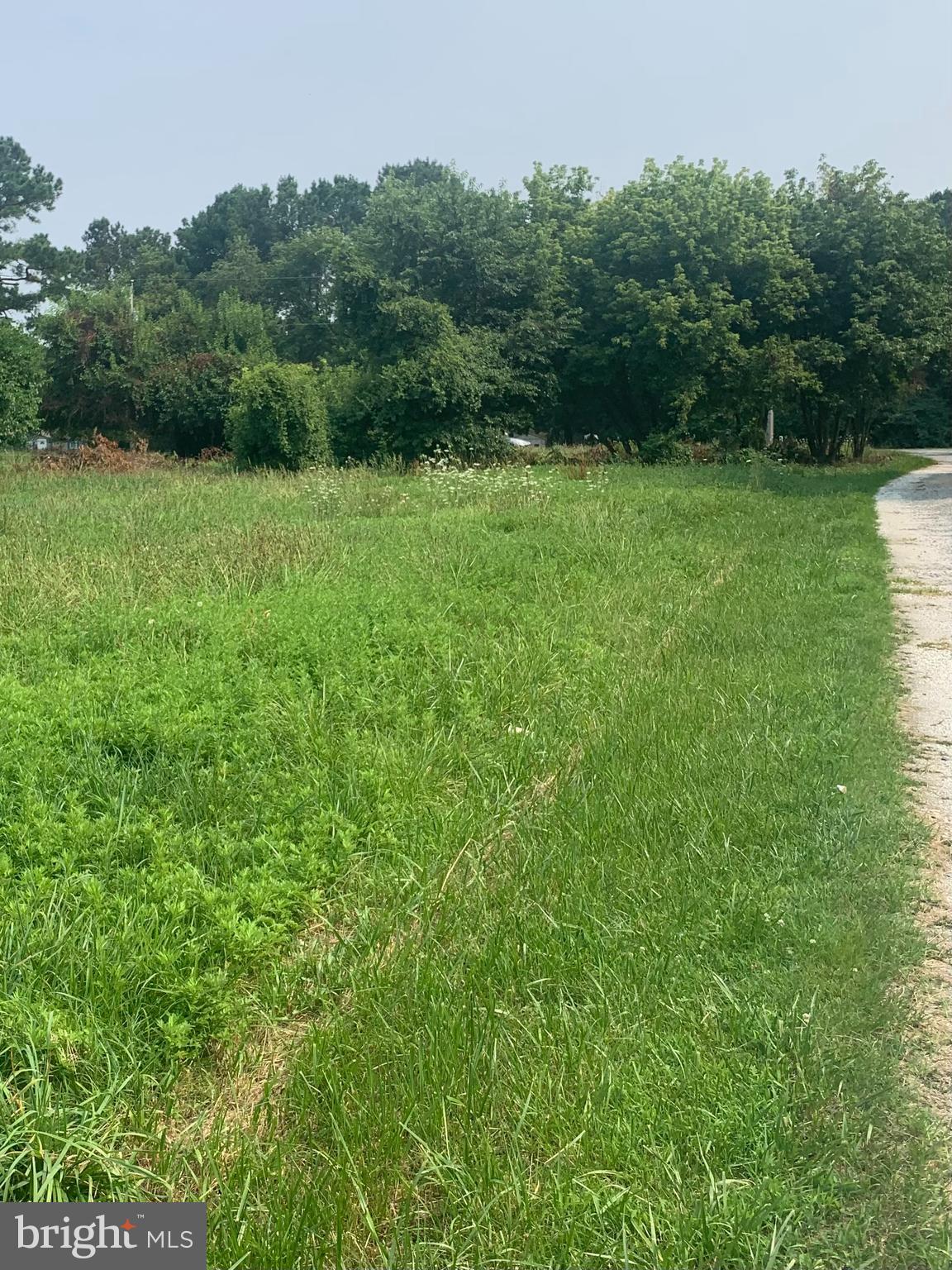 10411 Trappe Road Berlin, MD 21811 - Photo 5 of 8 Back of lot