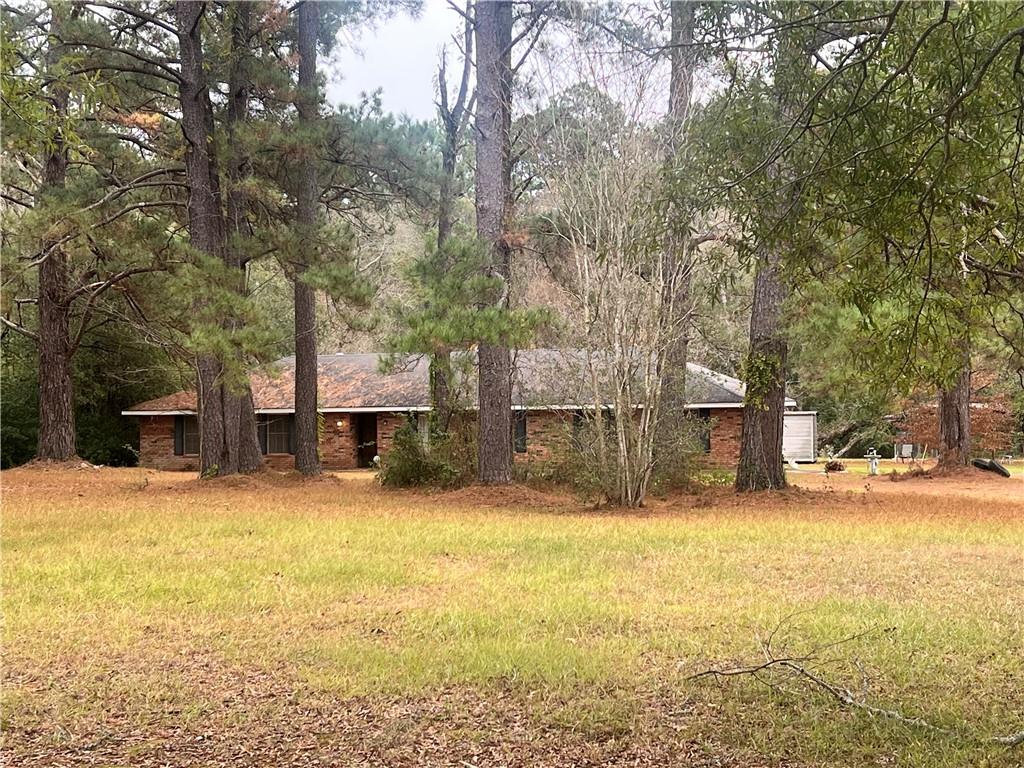135 Fred Redwine Road Deville, LA 71328 - Photo 5 of 33